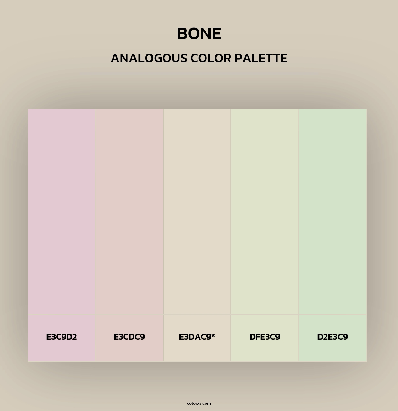 Bone - Analogous Color Palette