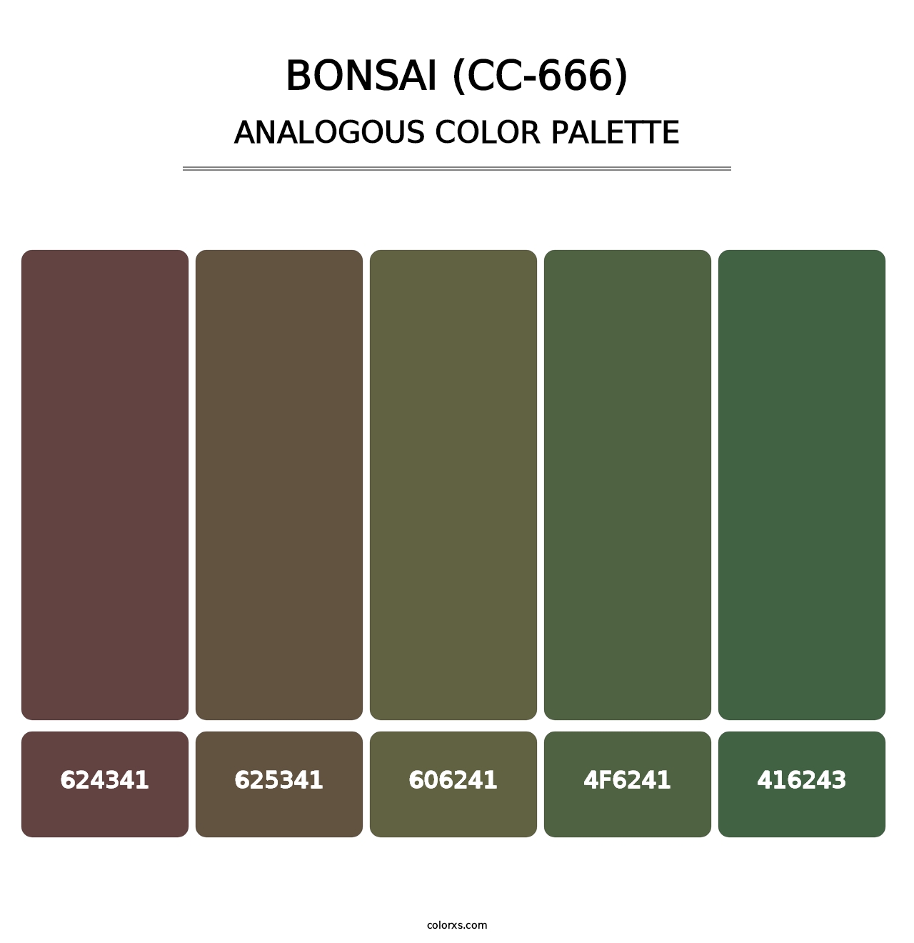 Bonsai (CC-666) - Analogous Color Palette