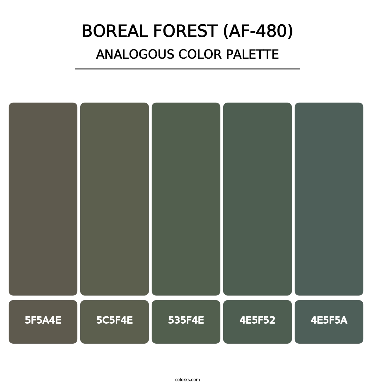 Boreal Forest (AF-480) - Analogous Color Palette