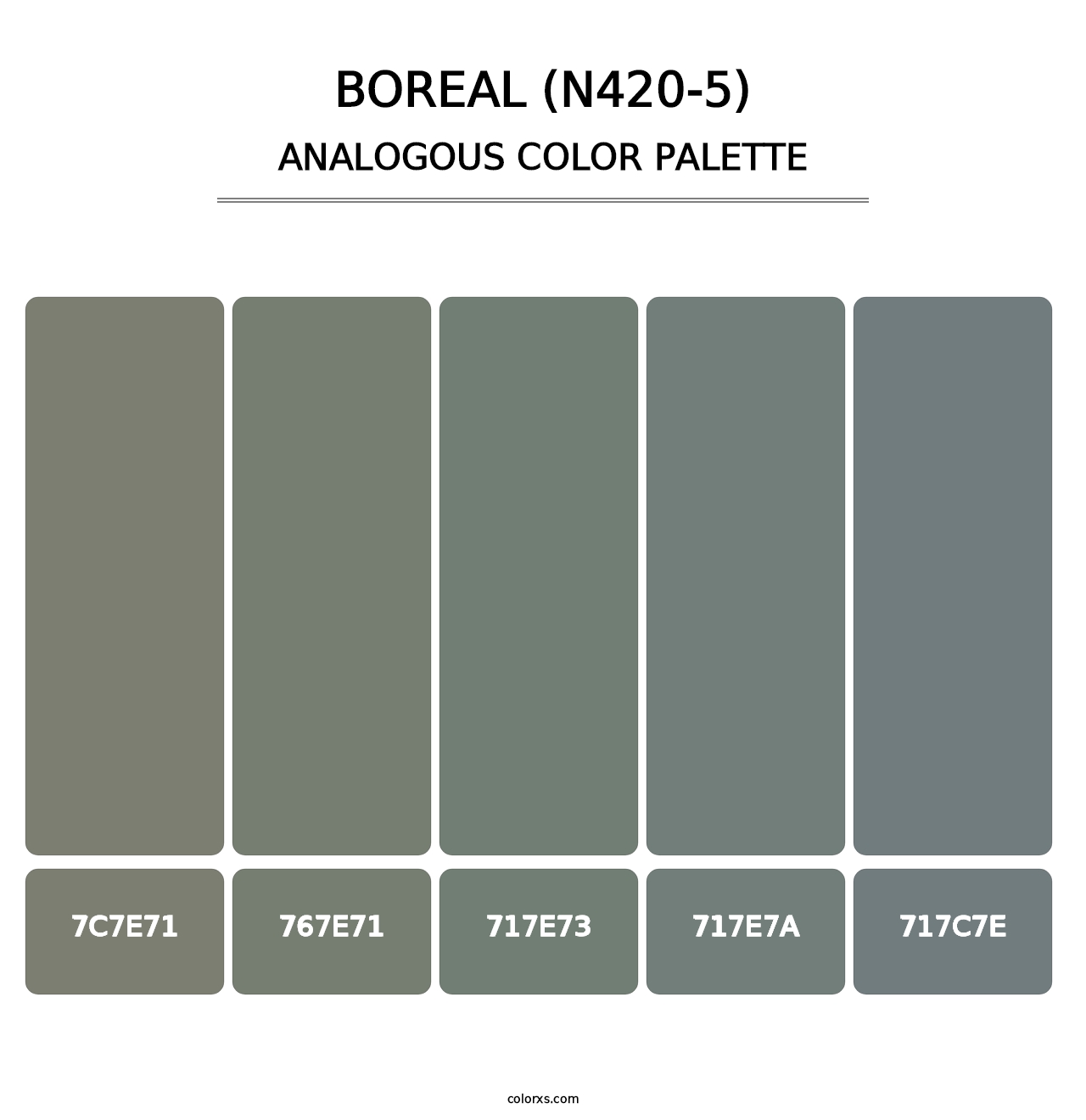 Boreal (N420-5) - Analogous Color Palette