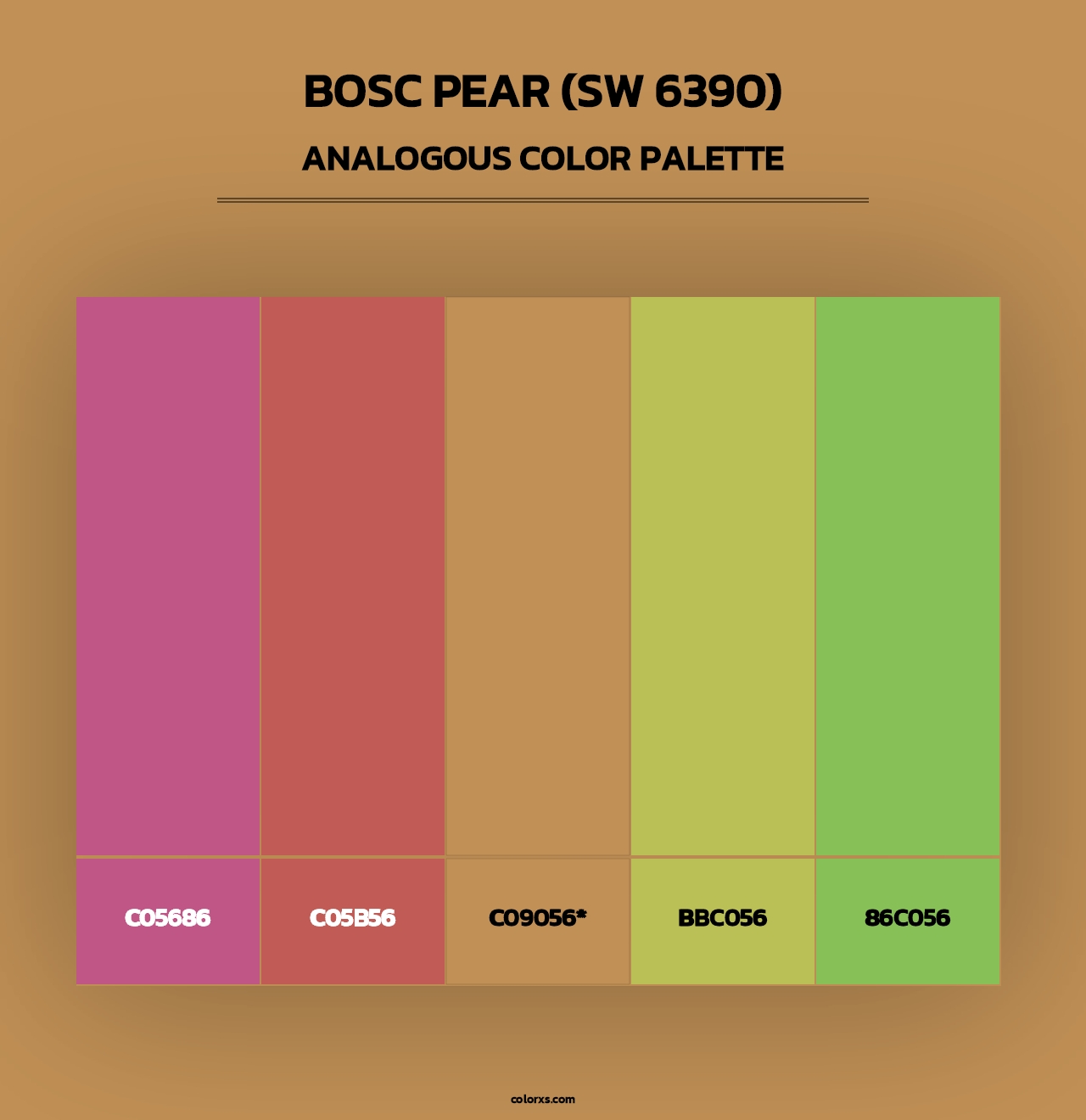 Bosc Pear (SW 6390) - Analogous Color Palette