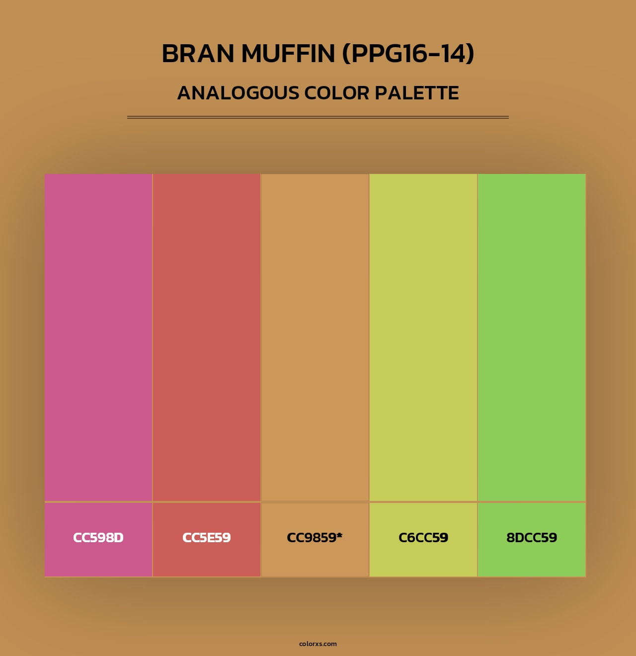 Bran Muffin (PPG16-14) - Analogous Color Palette