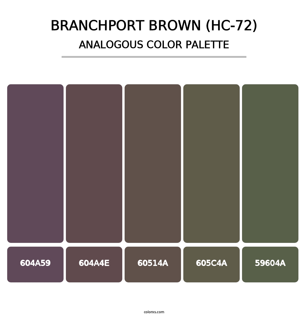 Branchport Brown (HC-72) - Analogous Color Palette