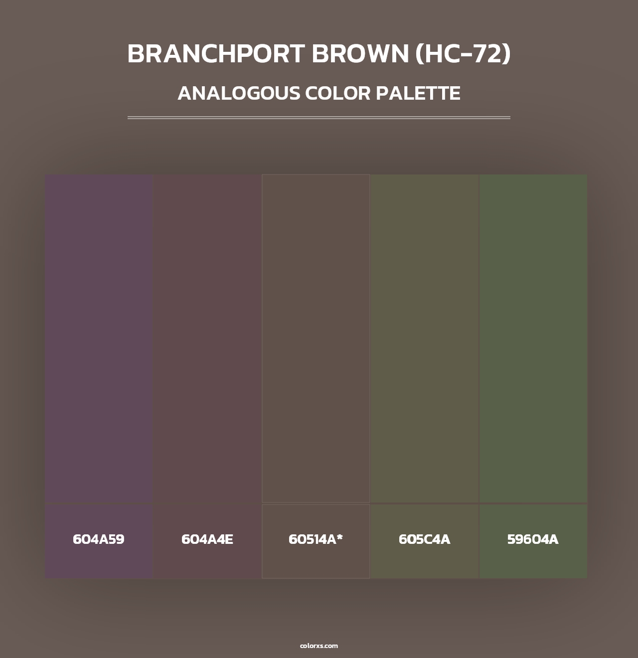 Branchport Brown (HC-72) - Analogous Color Palette