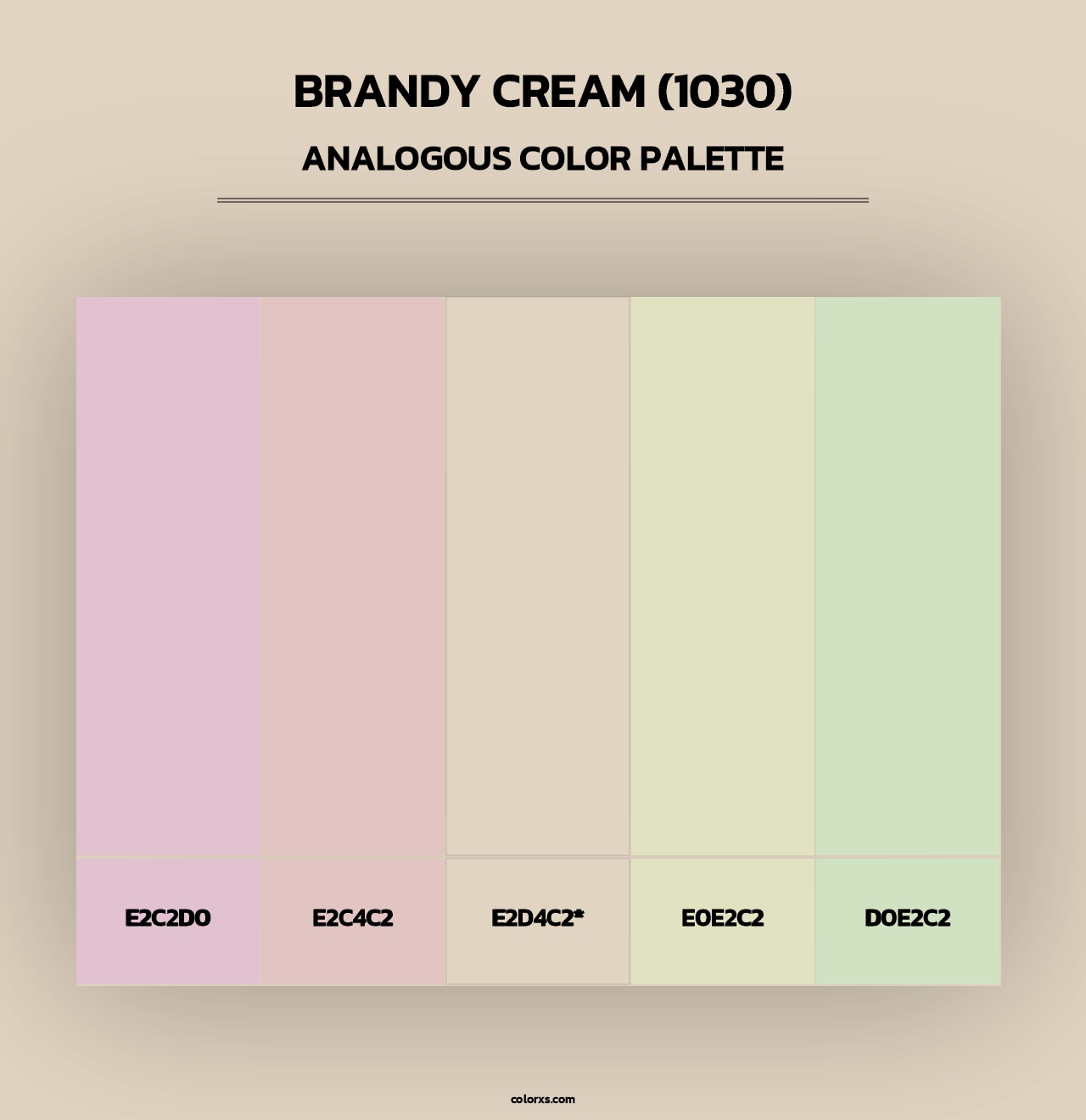 Brandy Cream (1030) - Analogous Color Palette