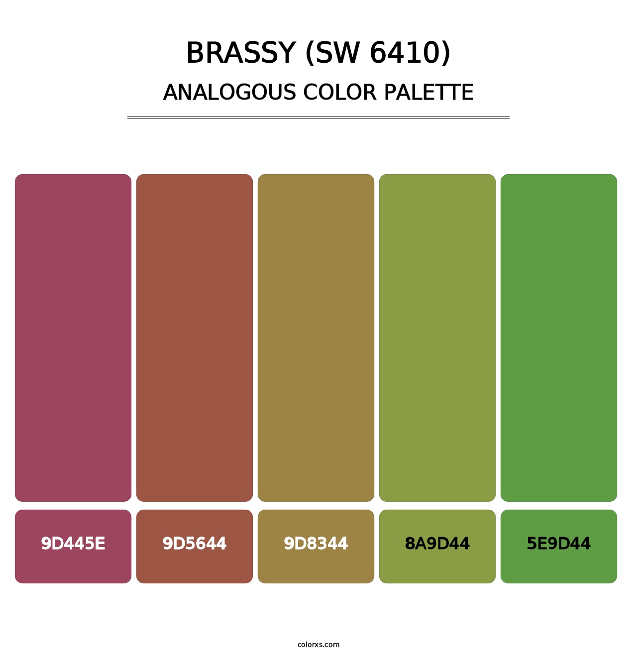 Brassy (SW 6410) - Analogous Color Palette