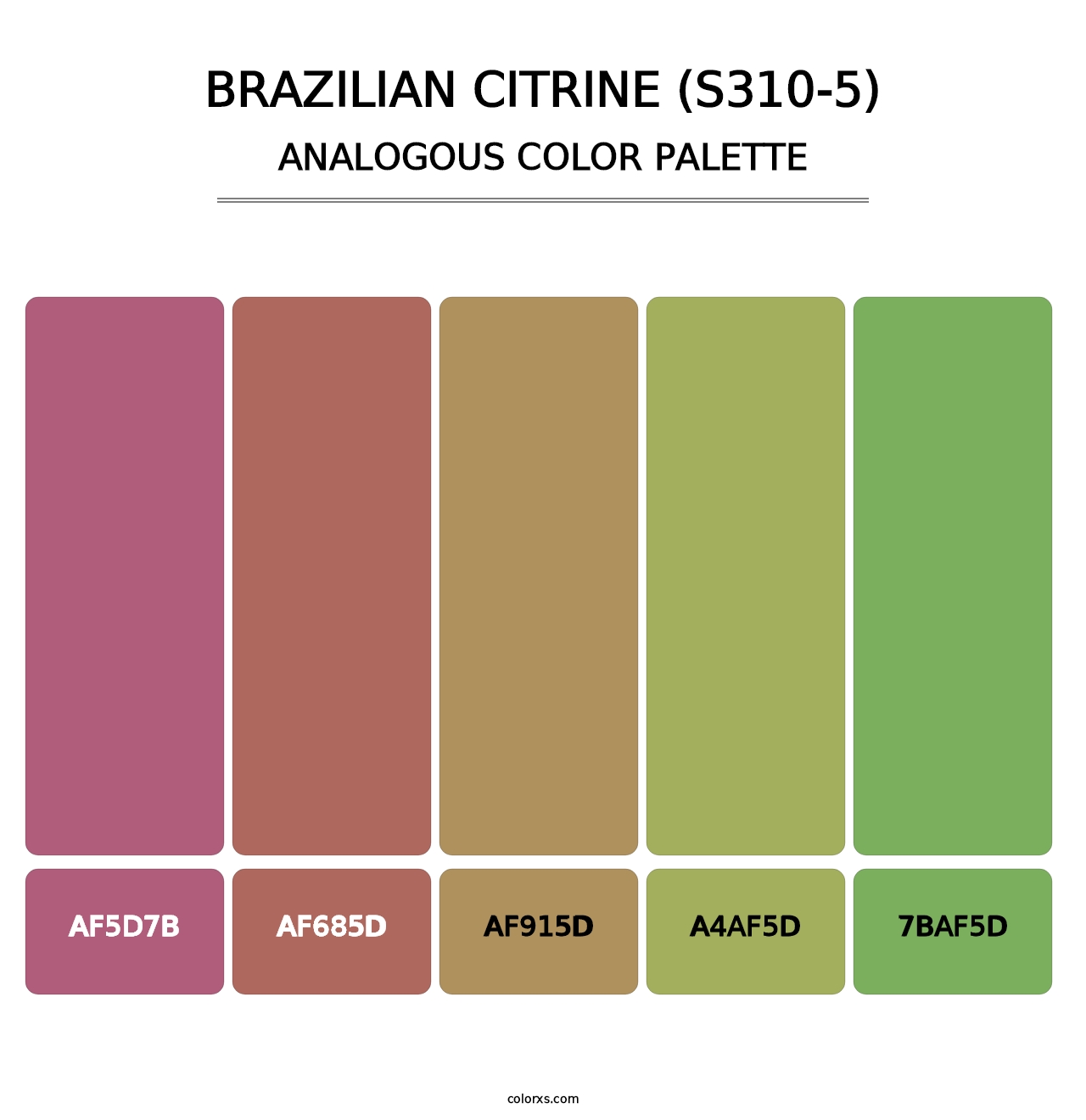 Brazilian Citrine (S310-5) - Analogous Color Palette