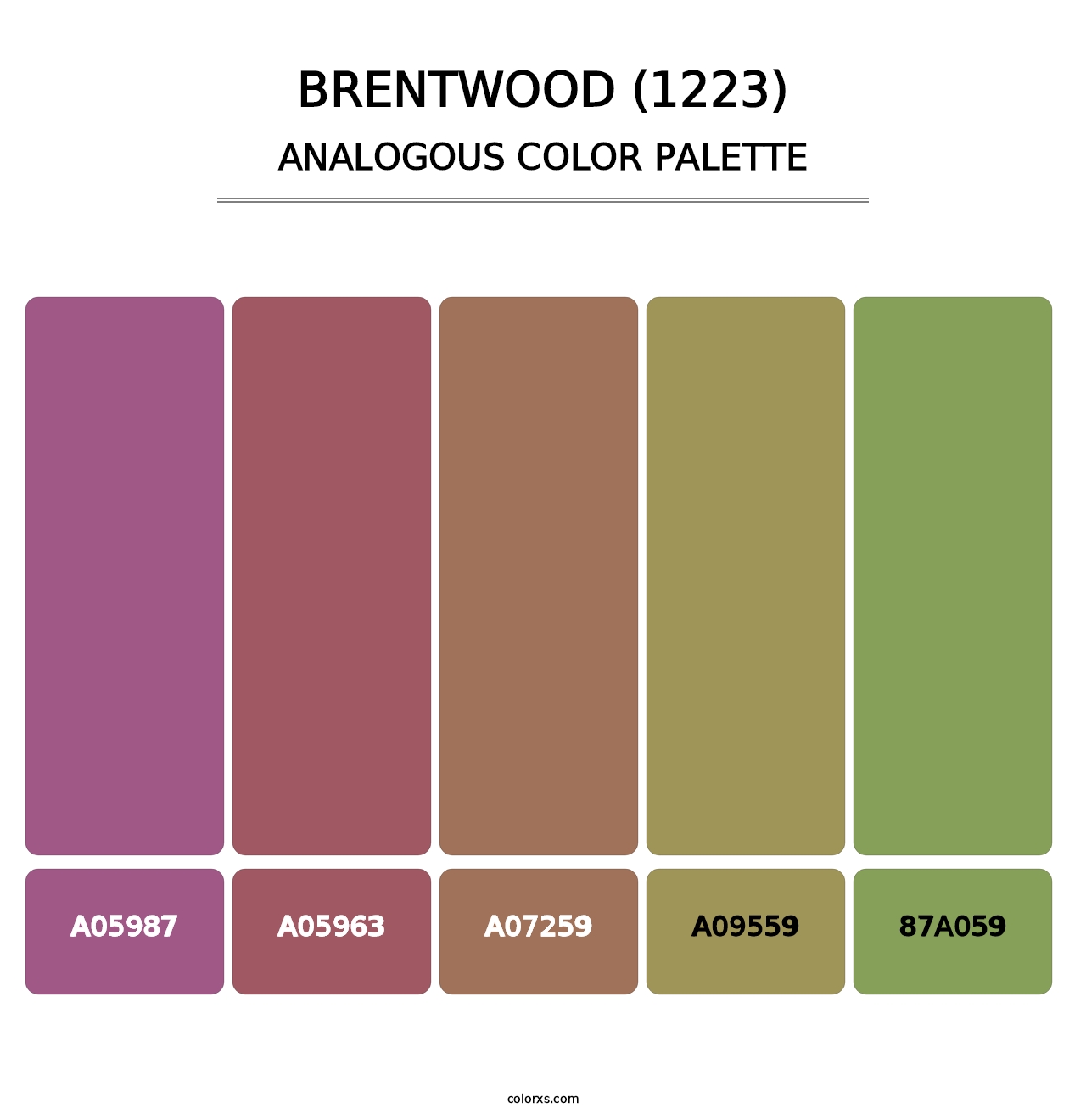 Brentwood (1223) - Analogous Color Palette