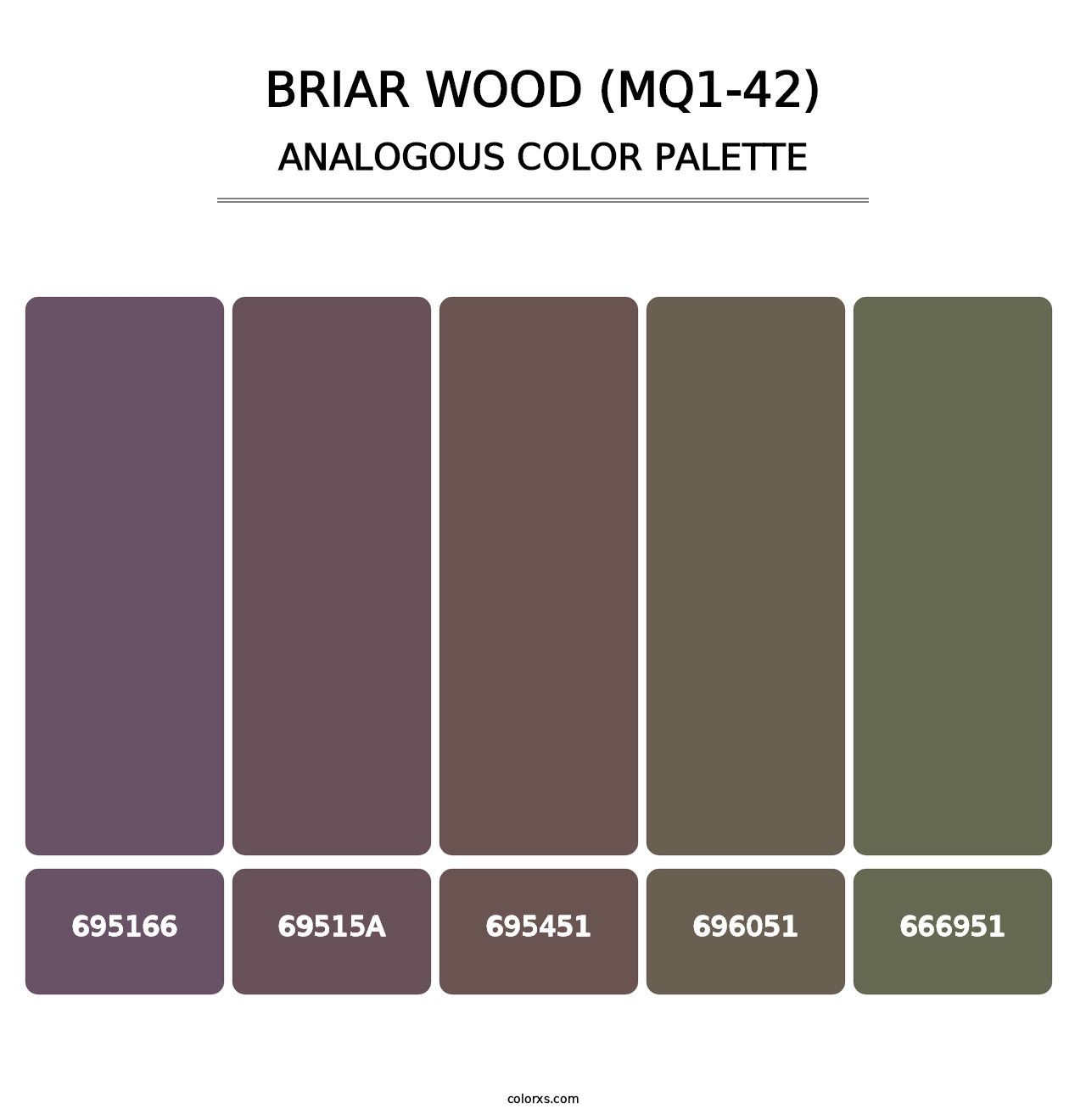 Briar Wood (MQ1-42) - Analogous Color Palette