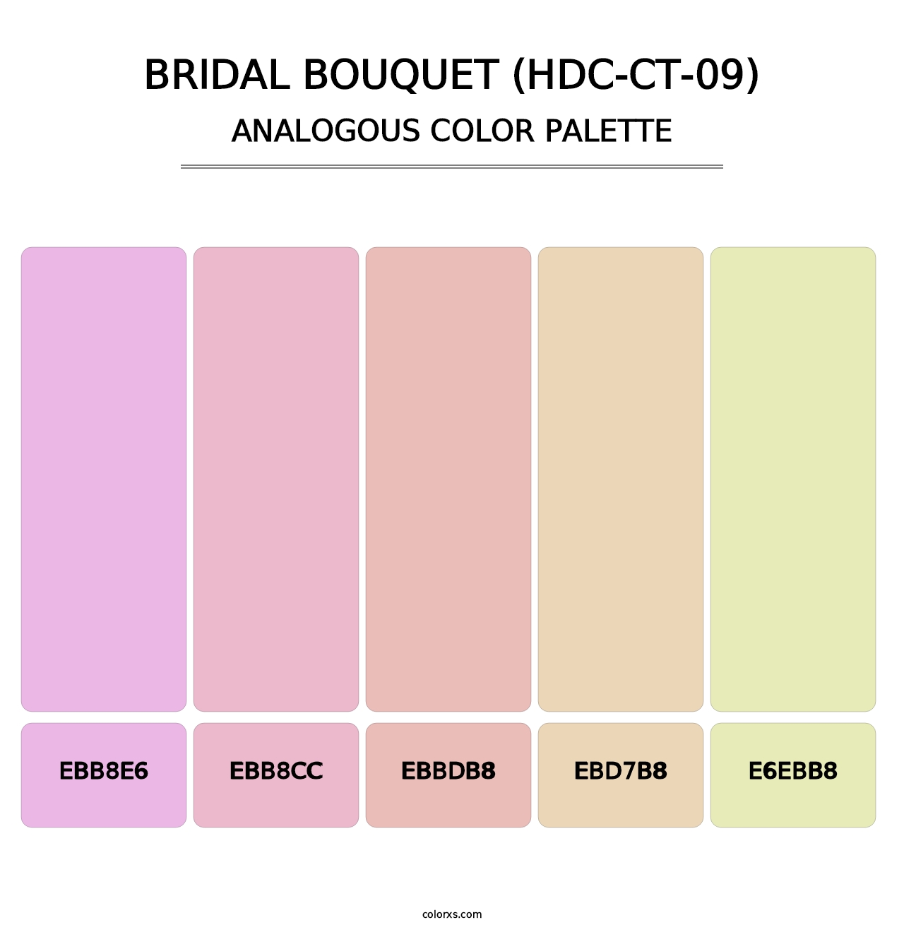 Bridal Bouquet (HDC-CT-09) - Analogous Color Palette