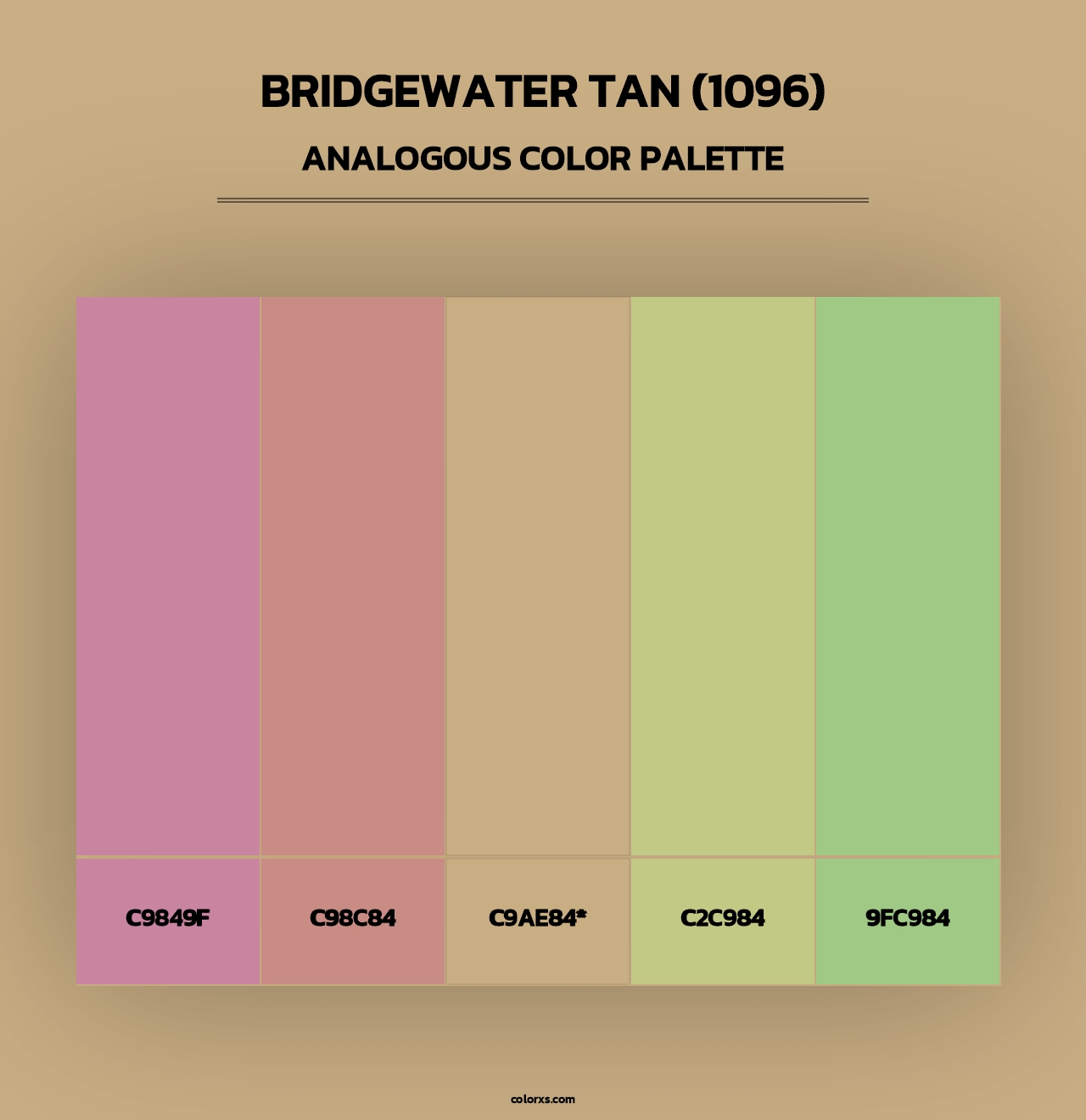 Bridgewater Tan (1096) - Analogous Color Palette