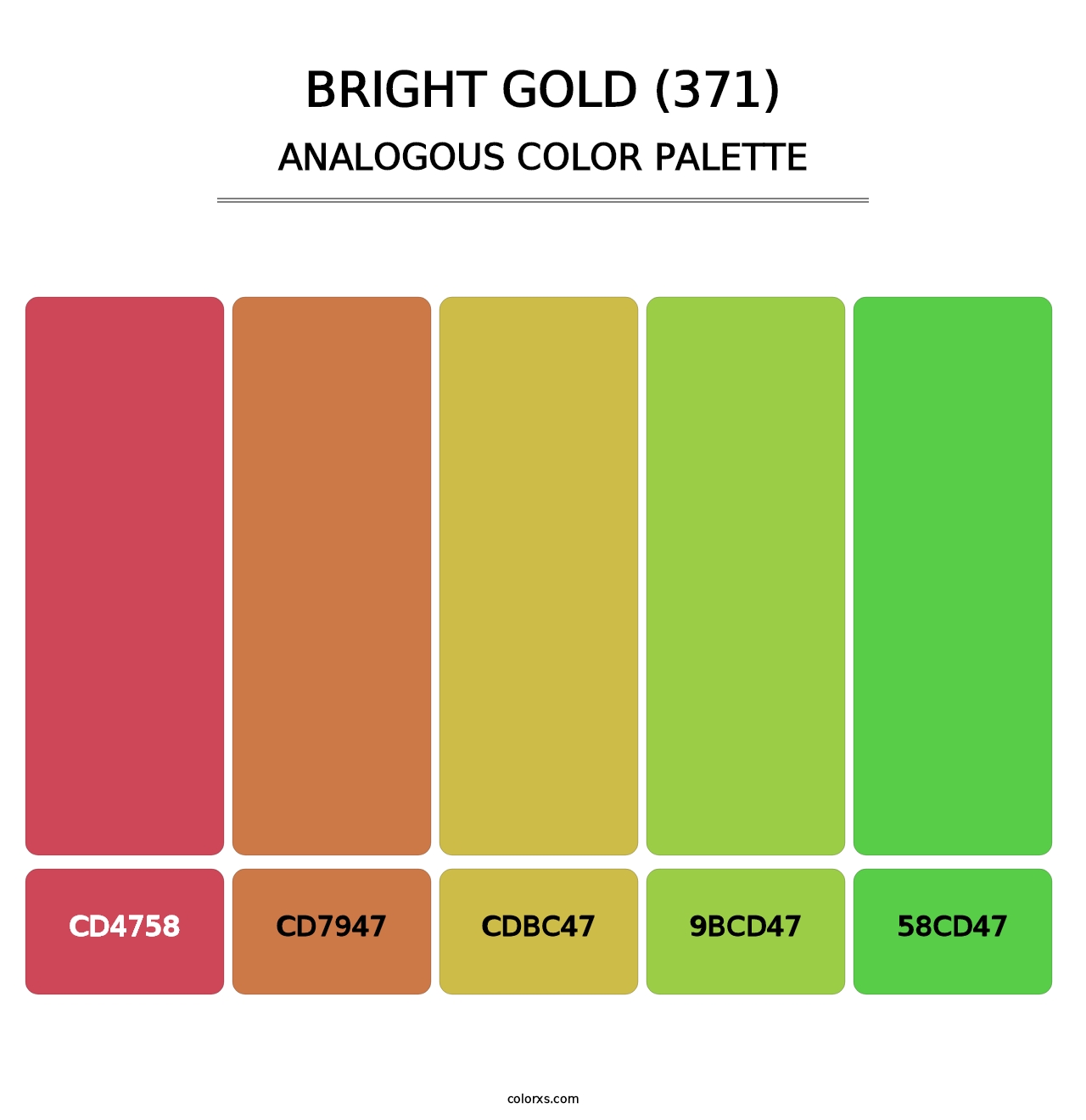 Bright Gold (371) - Analogous Color Palette