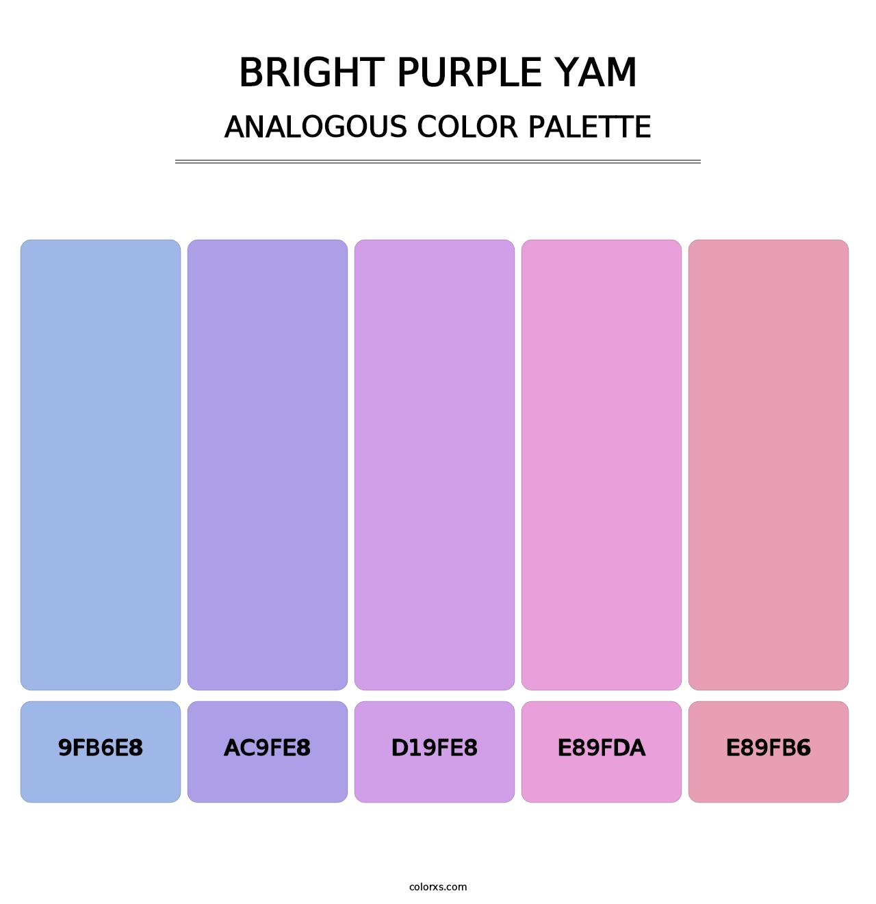 Bright Purple Yam - Analogous Color Palette