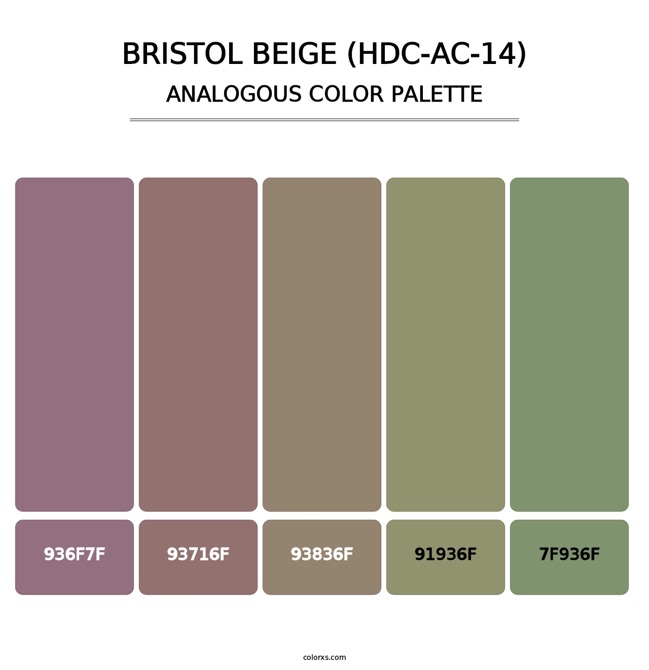 Bristol Beige (HDC-AC-14) - Analogous Color Palette