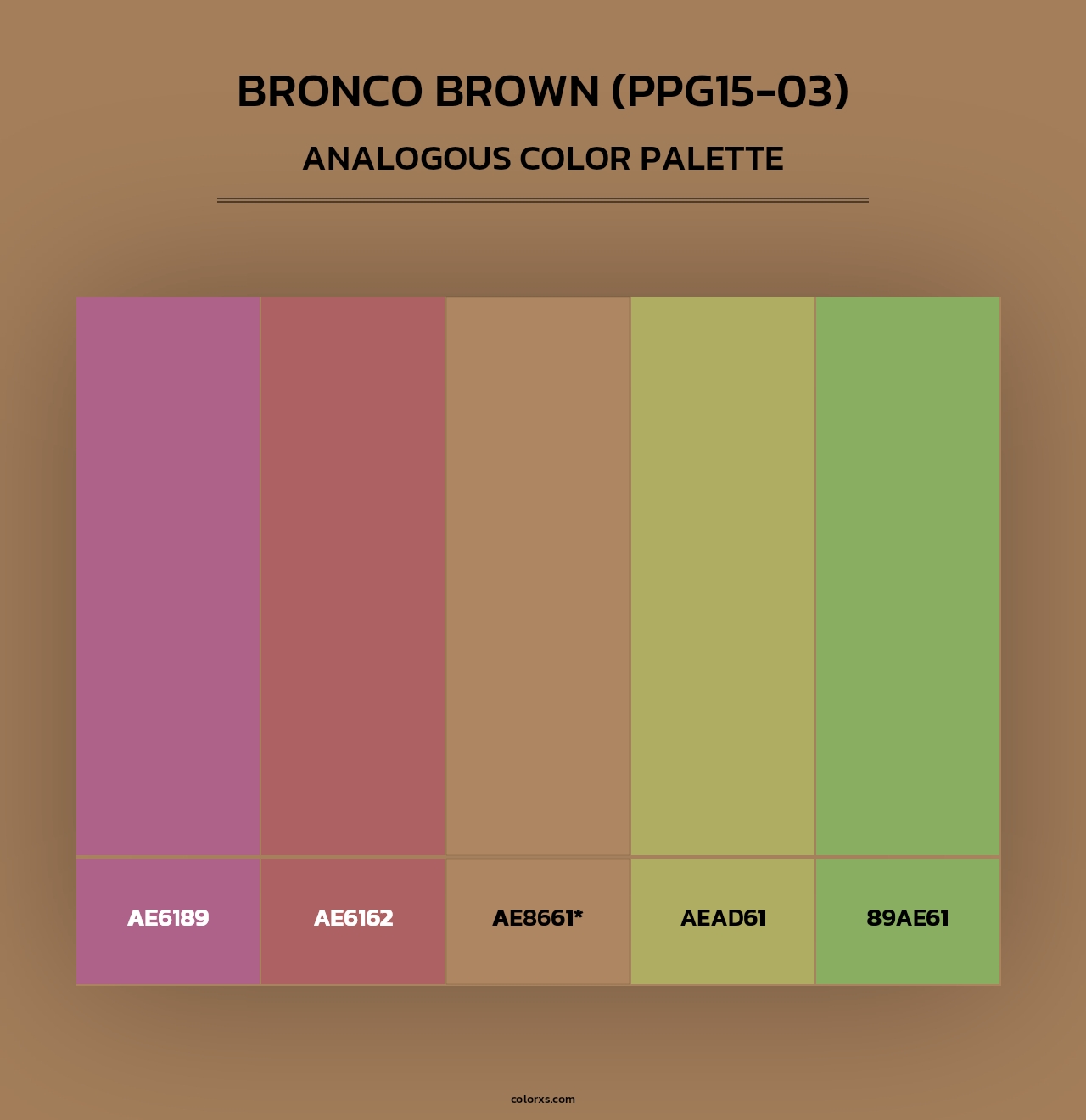 Bronco Brown (PPG15-03) - Analogous Color Palette