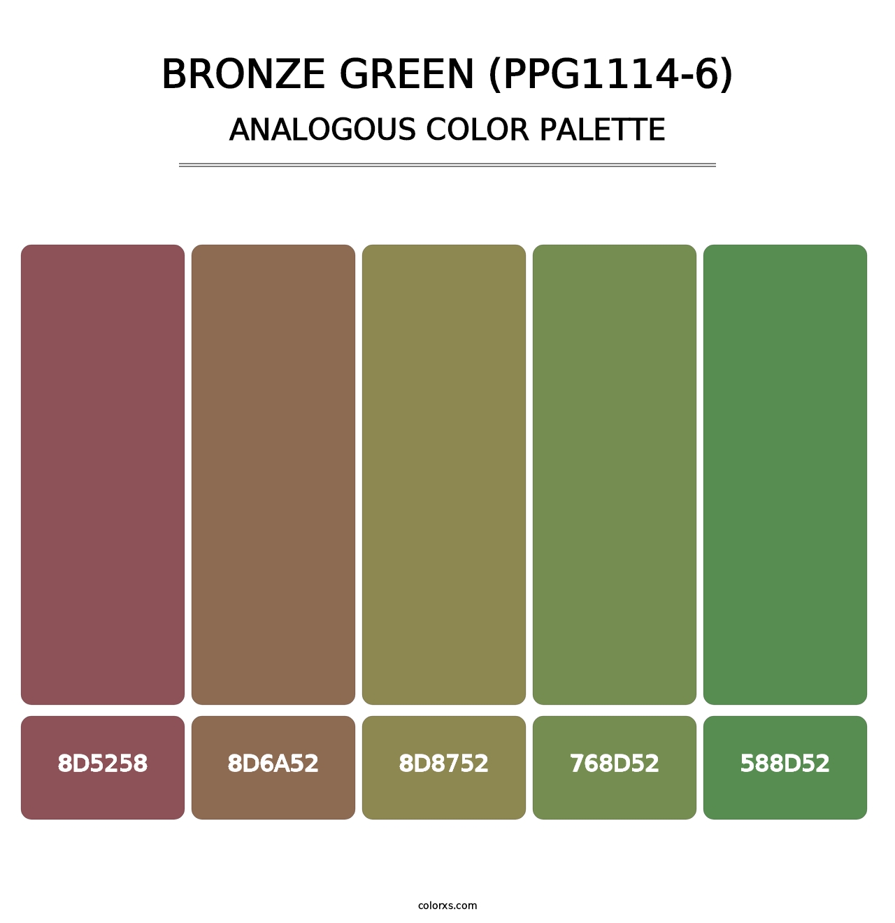 Bronze Green (PPG1114-6) - Analogous Color Palette