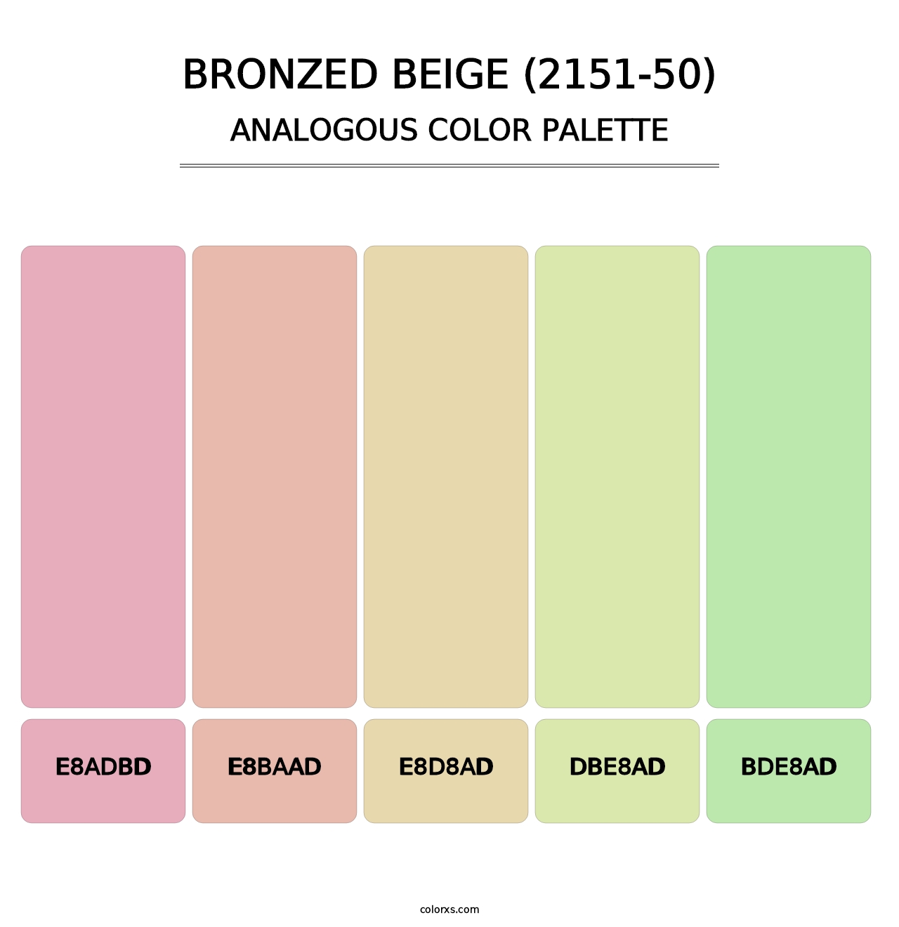 Bronzed Beige (2151-50) - Analogous Color Palette