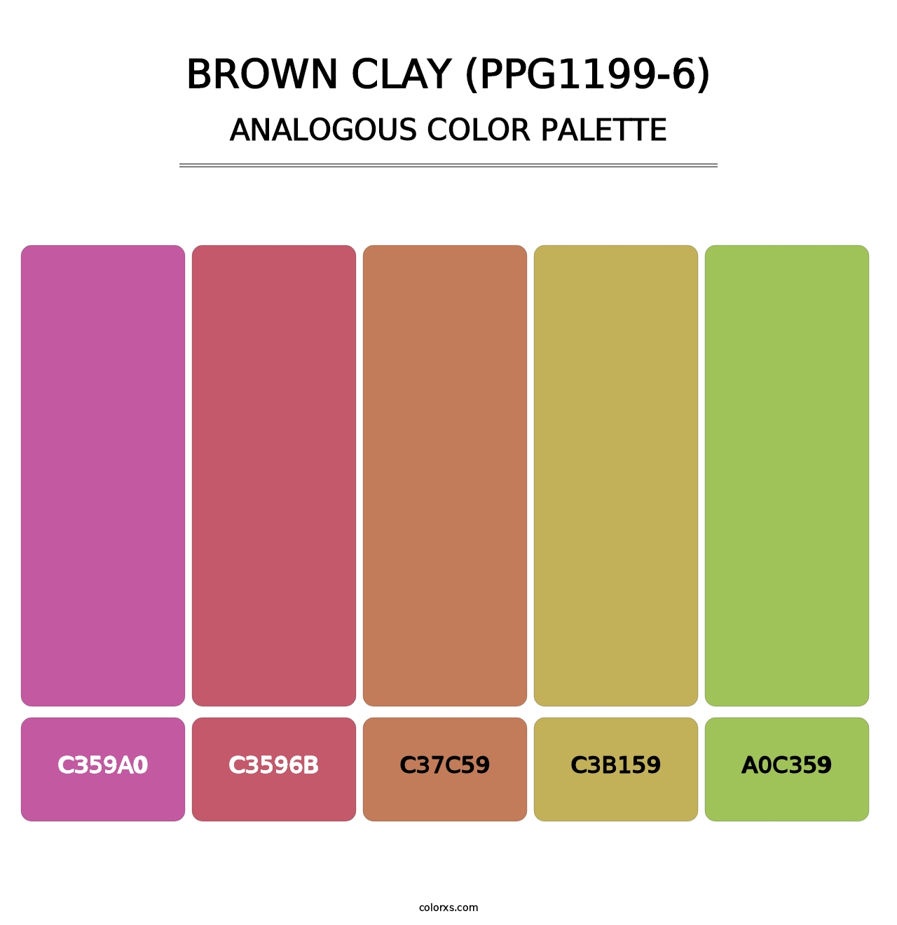 Brown Clay (PPG1199-6) - Analogous Color Palette