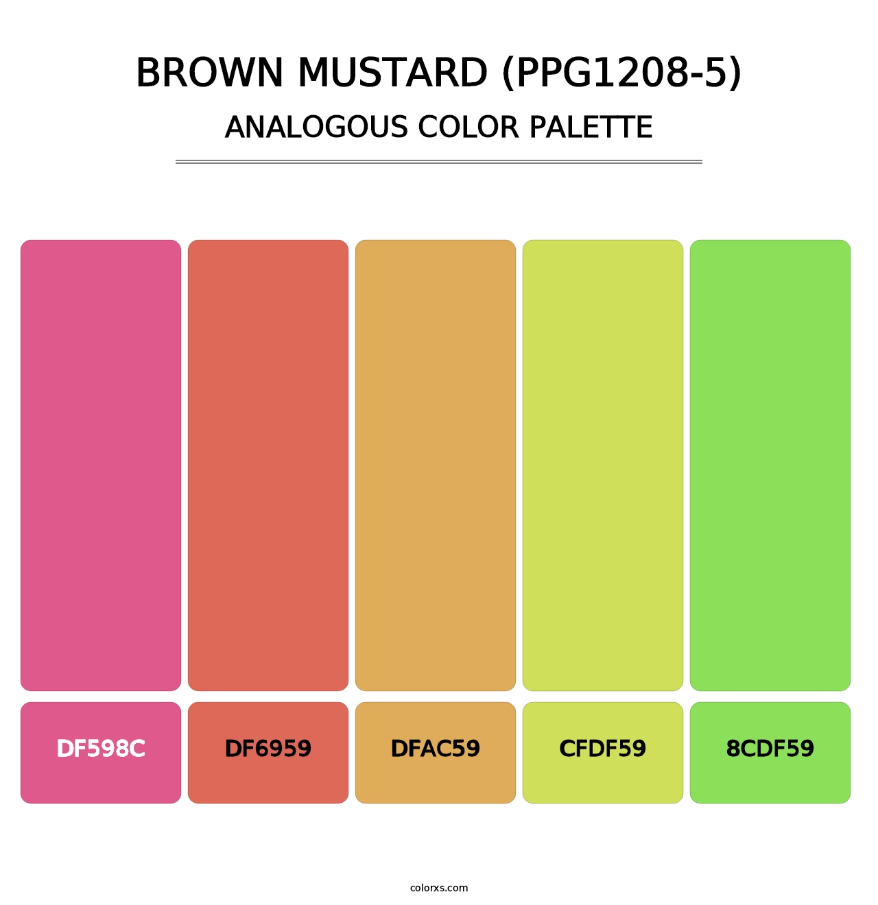 Brown Mustard (PPG1208-5) - Analogous Color Palette