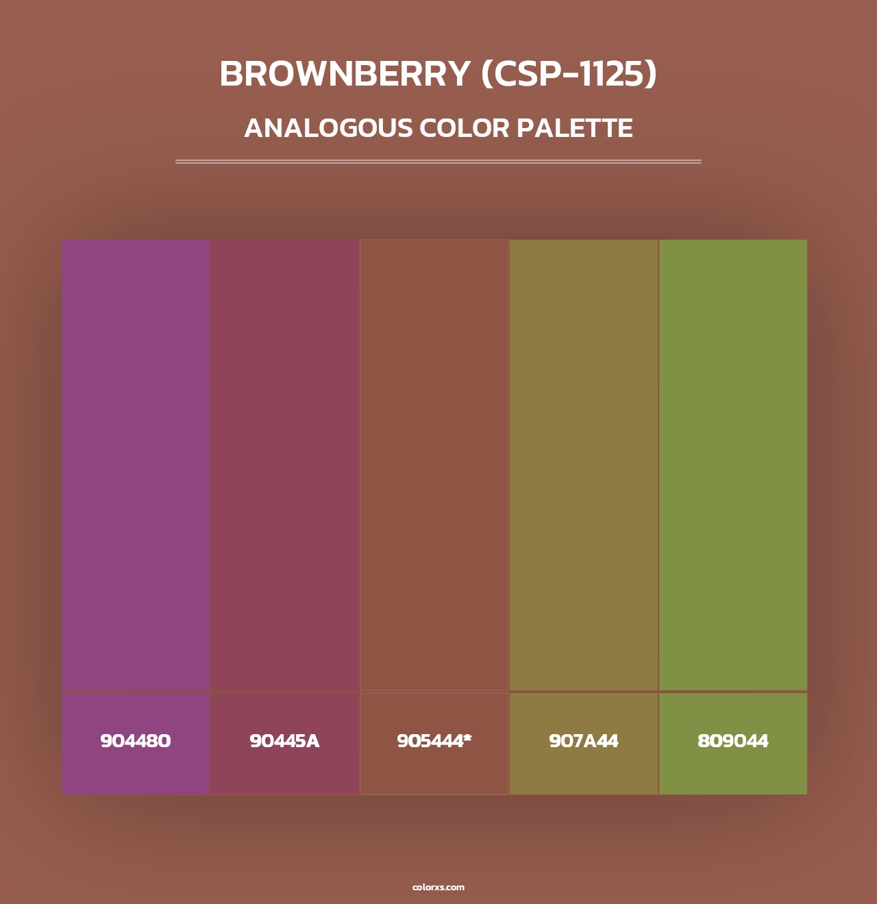 Brownberry (CSP-1125) - Analogous Color Palette