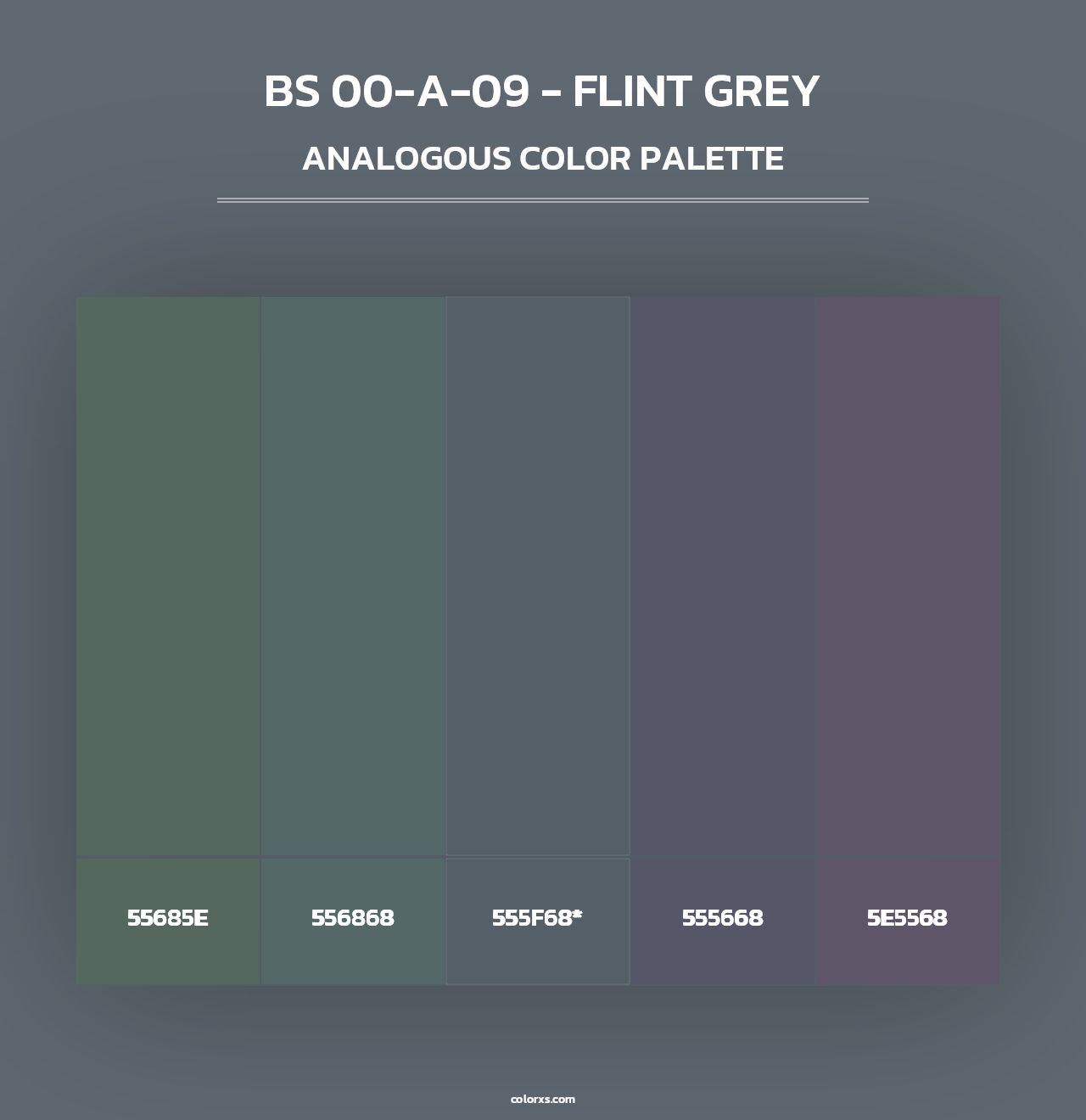 BS 00-A-09 - Flint Grey - Analogous Color Palette