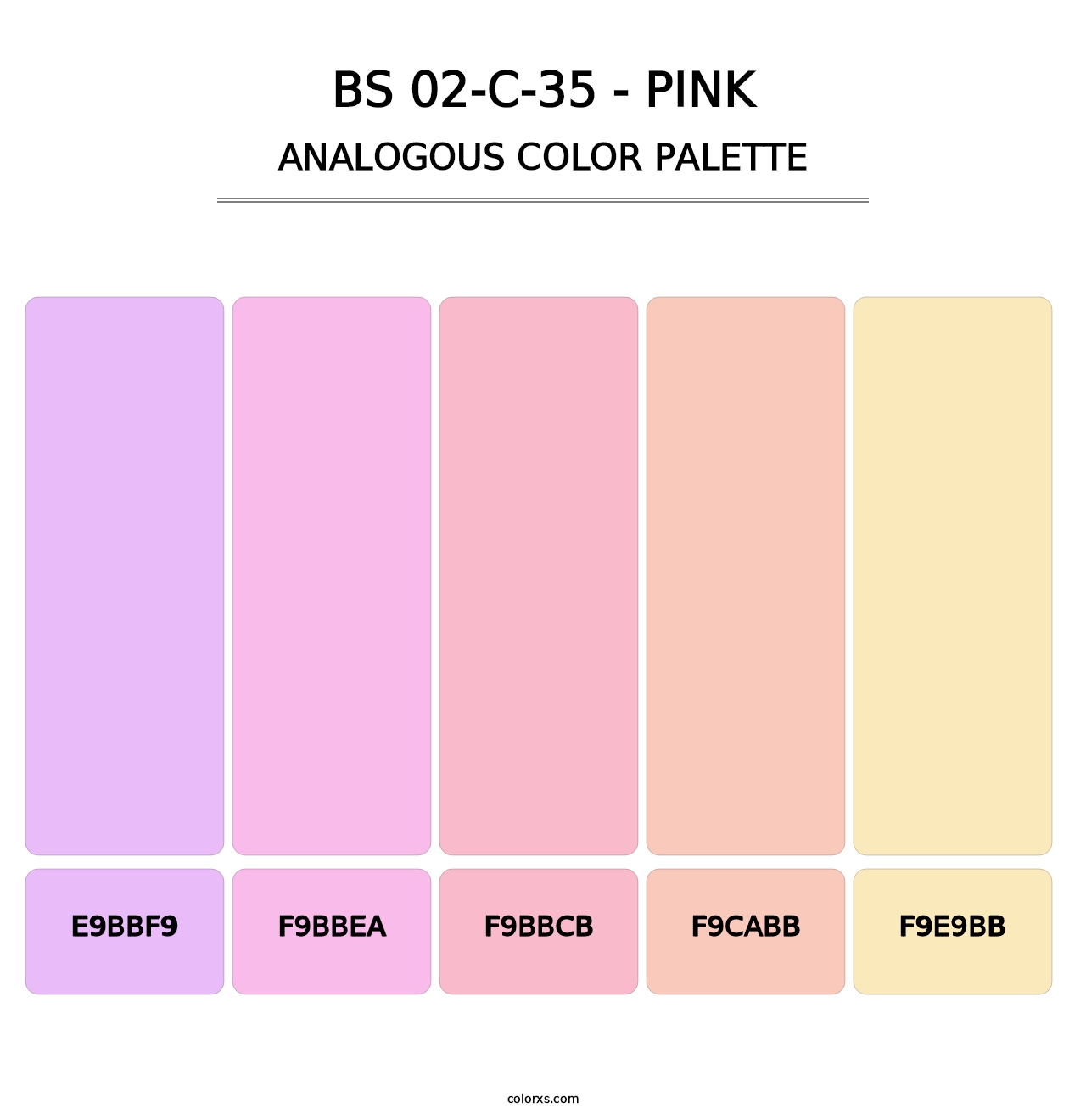 BS 02-C-35 - Pink - Analogous Color Palette