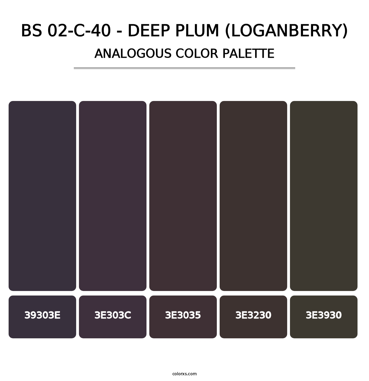 BS 02-C-40 - Deep Plum (Loganberry) - Analogous Color Palette