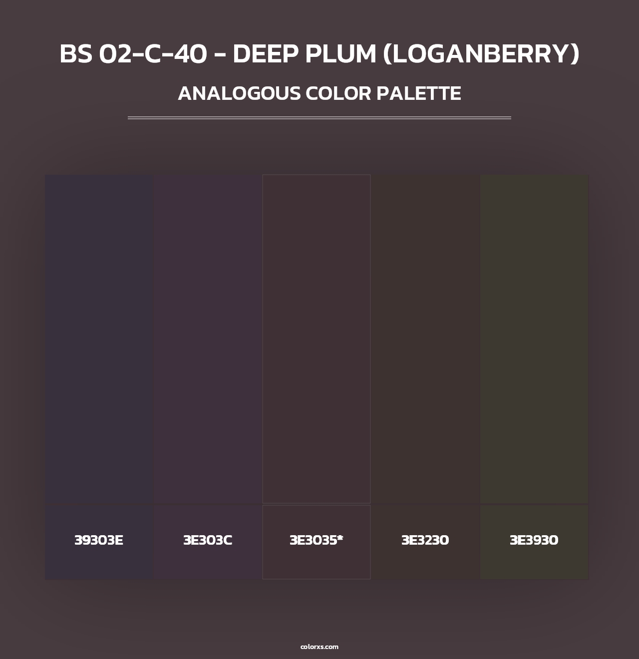 BS 02-C-40 - Deep Plum (Loganberry) - Analogous Color Palette