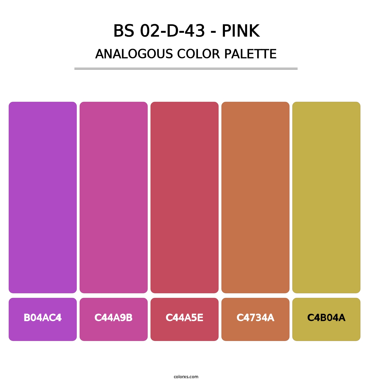 BS 02-D-43 - Pink - Analogous Color Palette