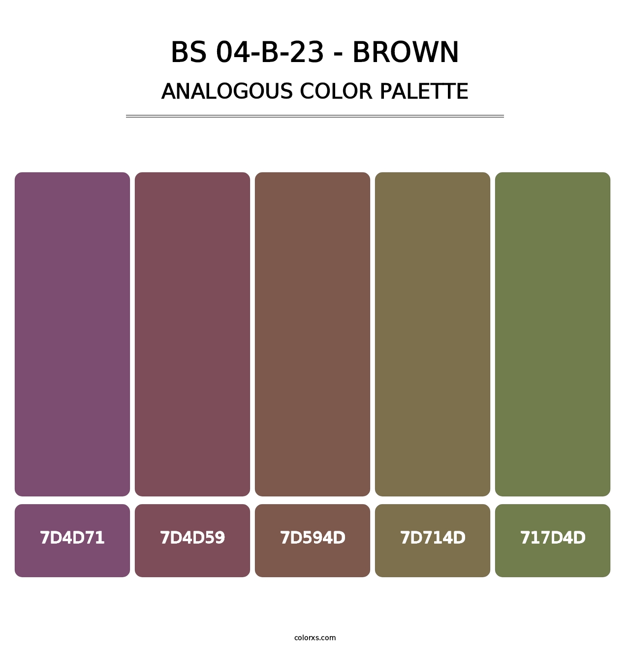 BS 04-B-23 - Brown - Analogous Color Palette