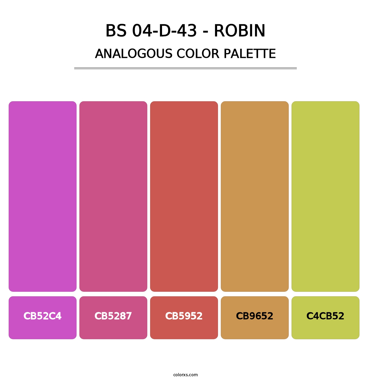 BS 04-D-43 - Robin - Analogous Color Palette