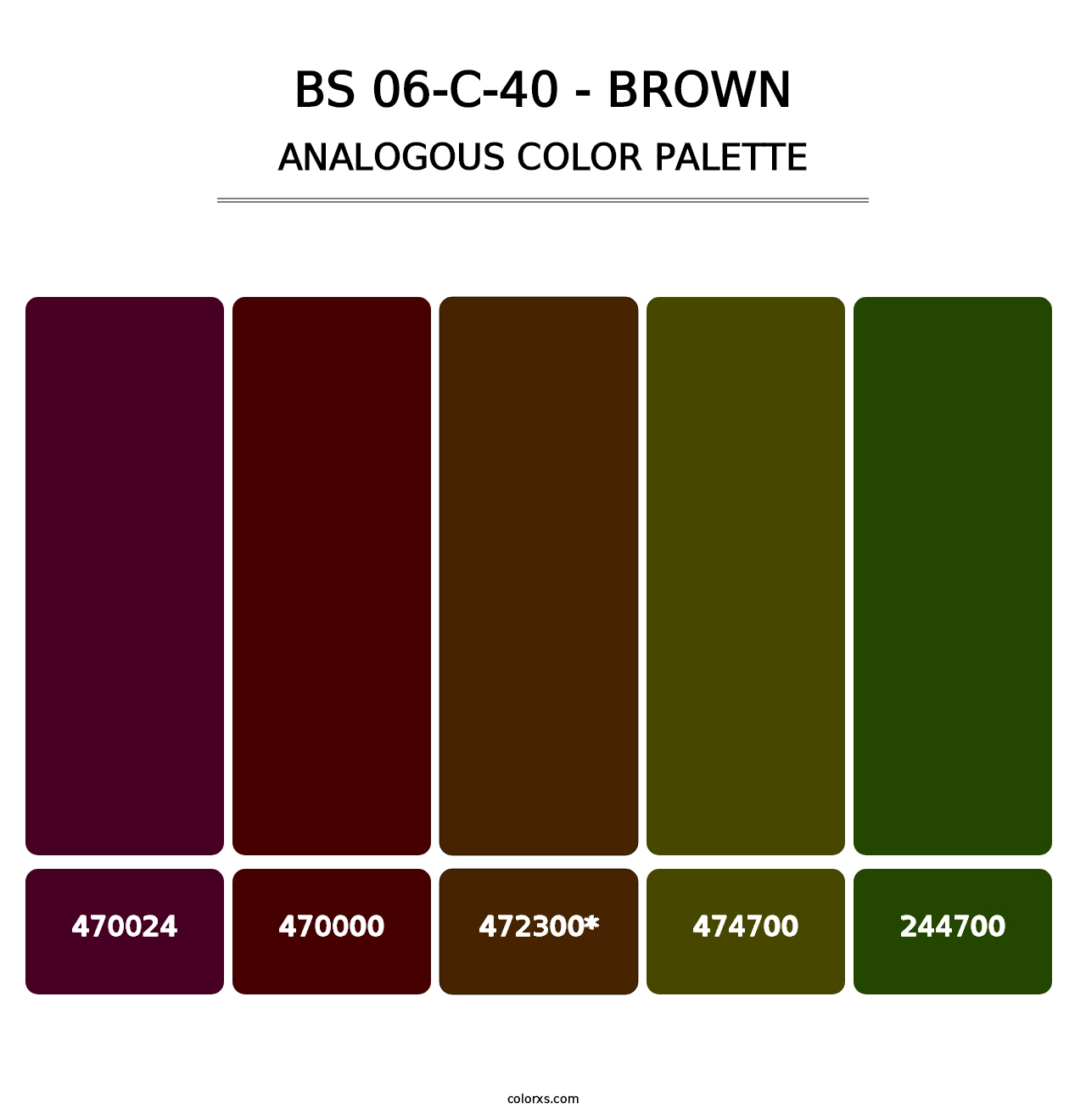 BS 06-C-40 - Brown - Analogous Color Palette