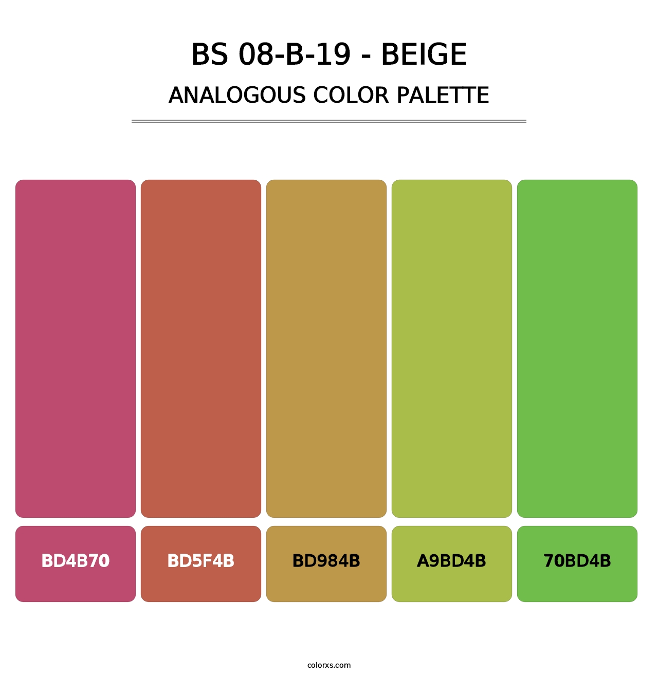 BS 08-B-19 - Beige - Analogous Color Palette