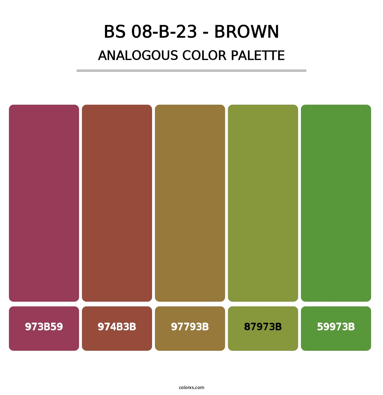 BS 08-B-23 - Brown - Analogous Color Palette