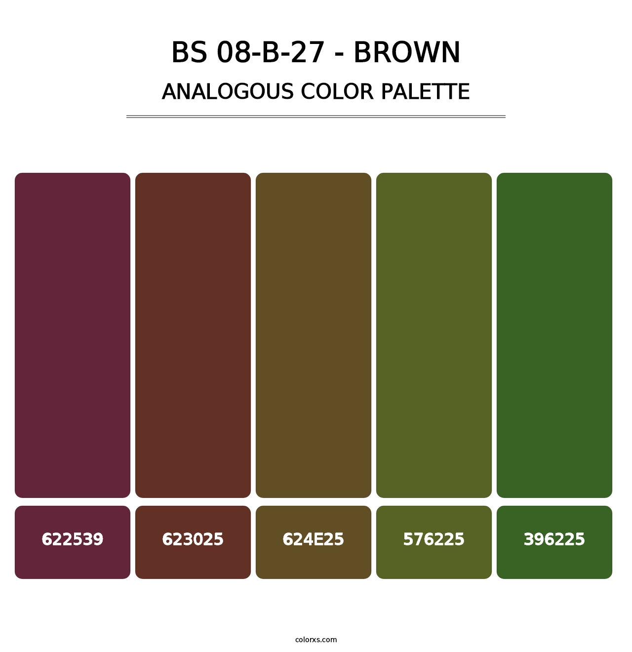 BS 08-B-27 - Brown - Analogous Color Palette
