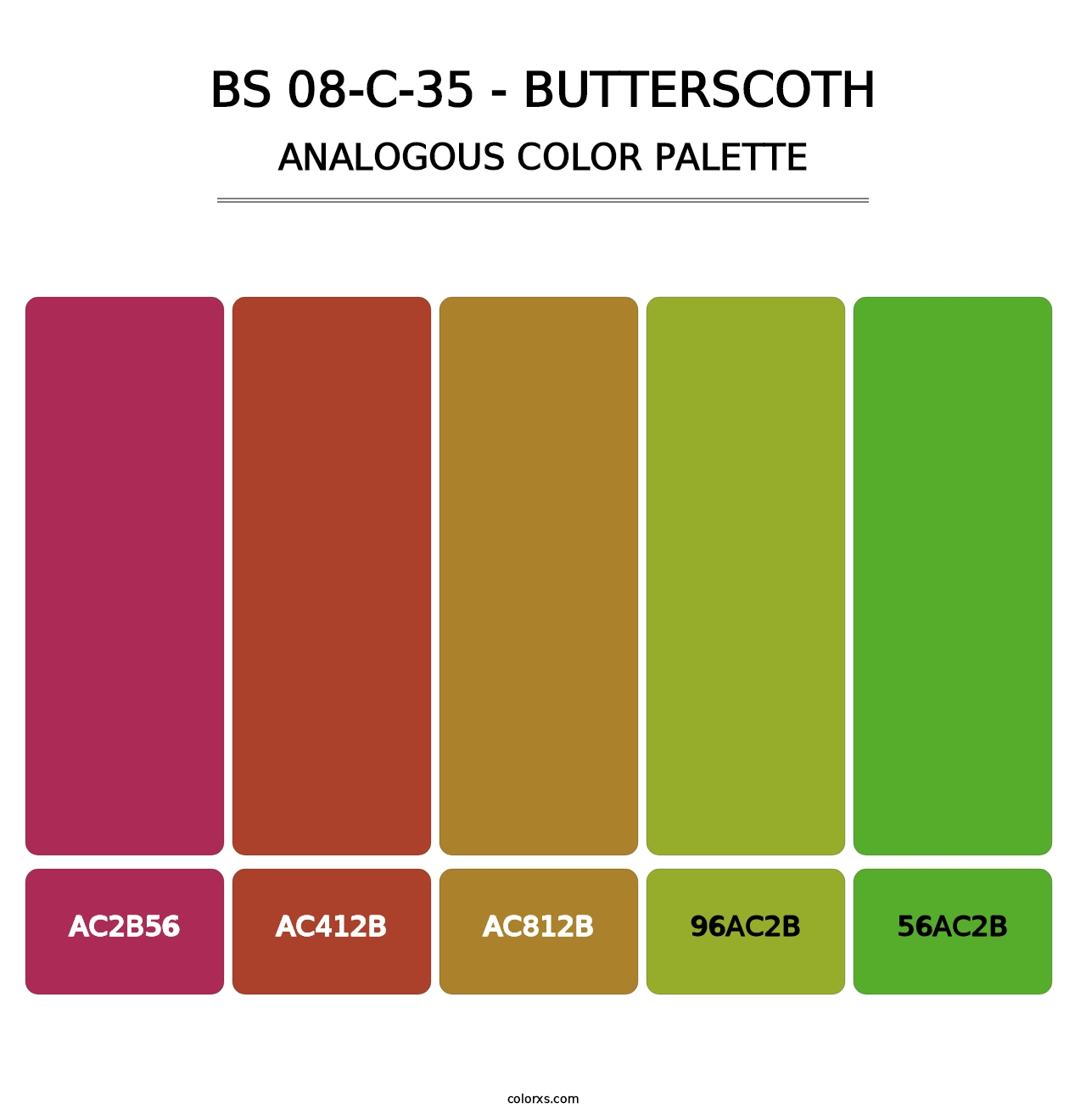 BS 08-C-35 - Butterscoth - Analogous Color Palette