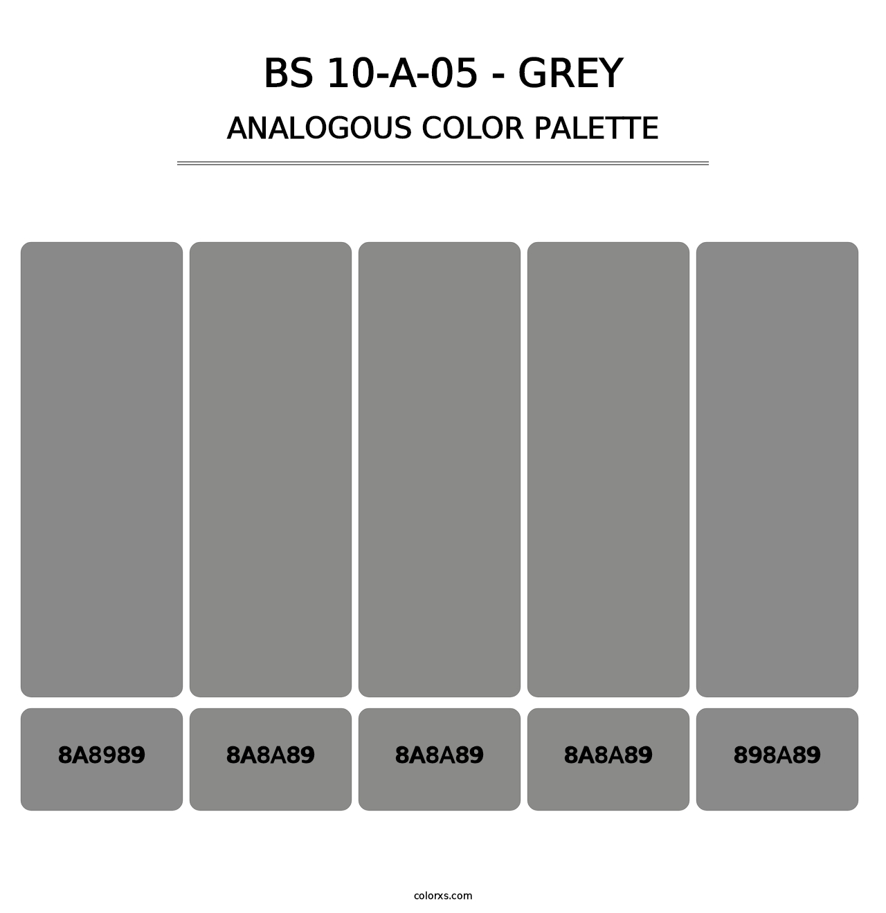BS 10-A-05 - Grey - Analogous Color Palette