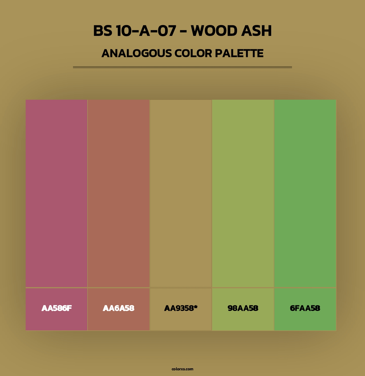 BS 10-A-07 - Wood Ash - Analogous Color Palette