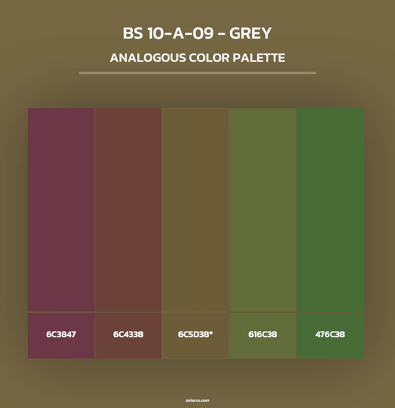 BS 10-A-09 - Grey - Analogous Color Palette