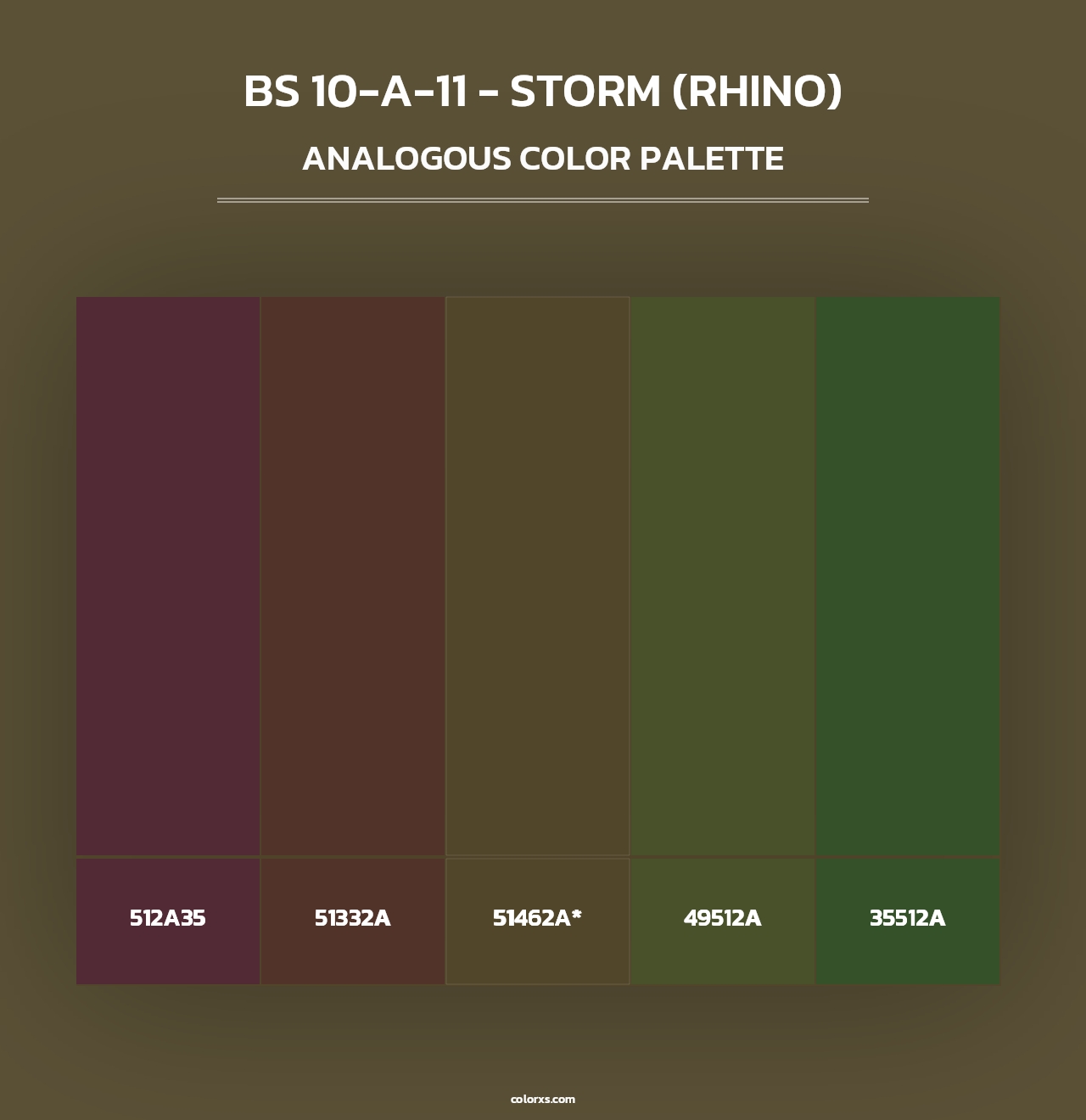 BS 10-A-11 - Storm (Rhino) - Analogous Color Palette