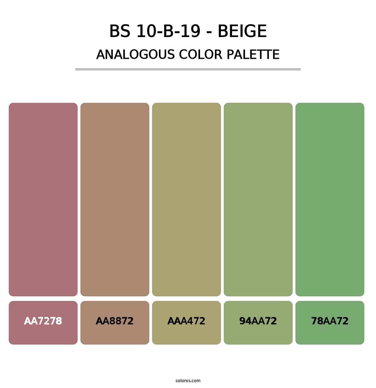 BS 10-B-19 - Beige - Analogous Color Palette