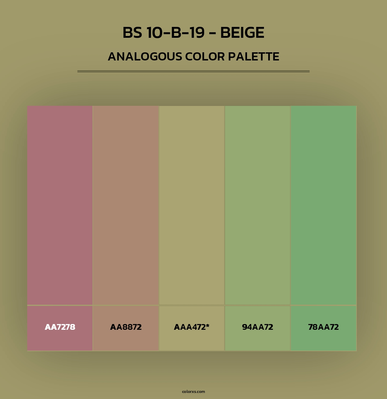 BS 10-B-19 - Beige - Analogous Color Palette