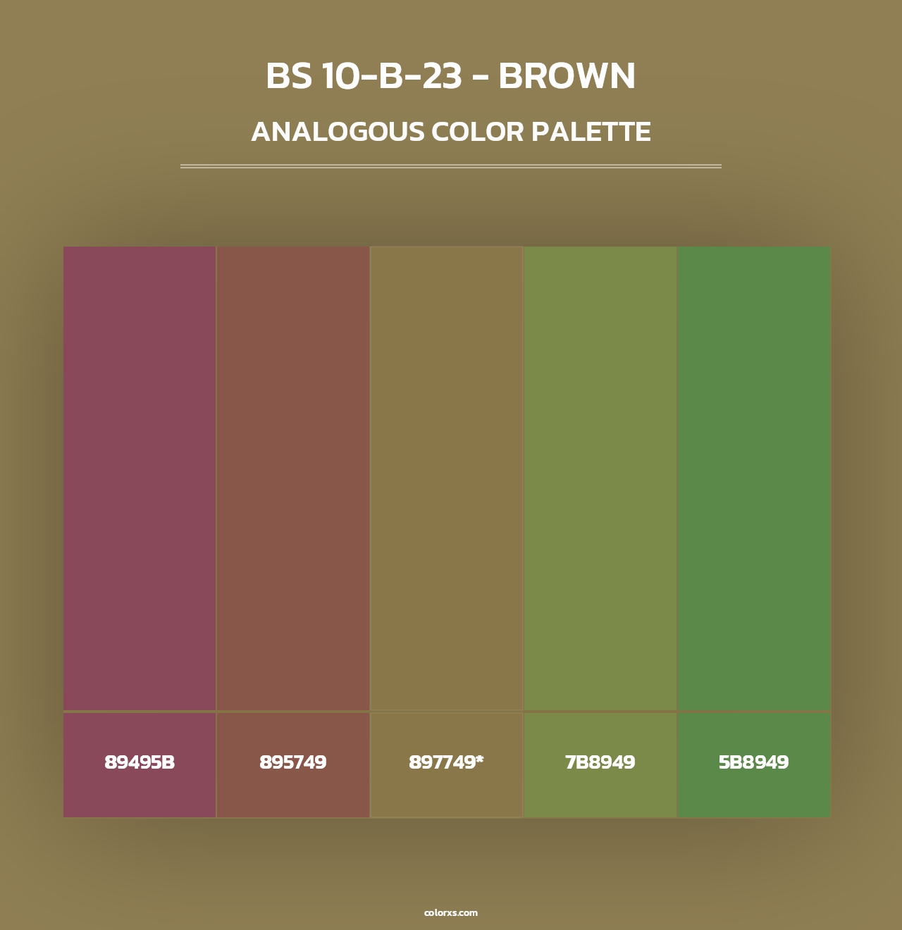 BS 10-B-23 - Brown - Analogous Color Palette