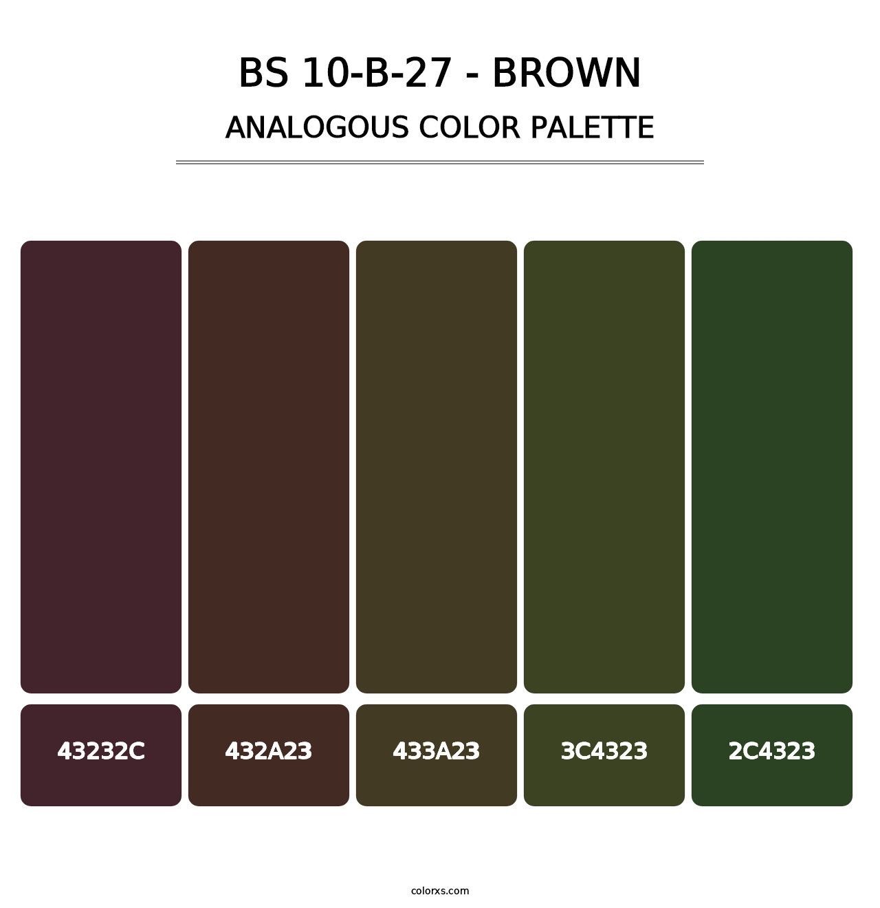 BS 10-B-27 - Brown - Analogous Color Palette