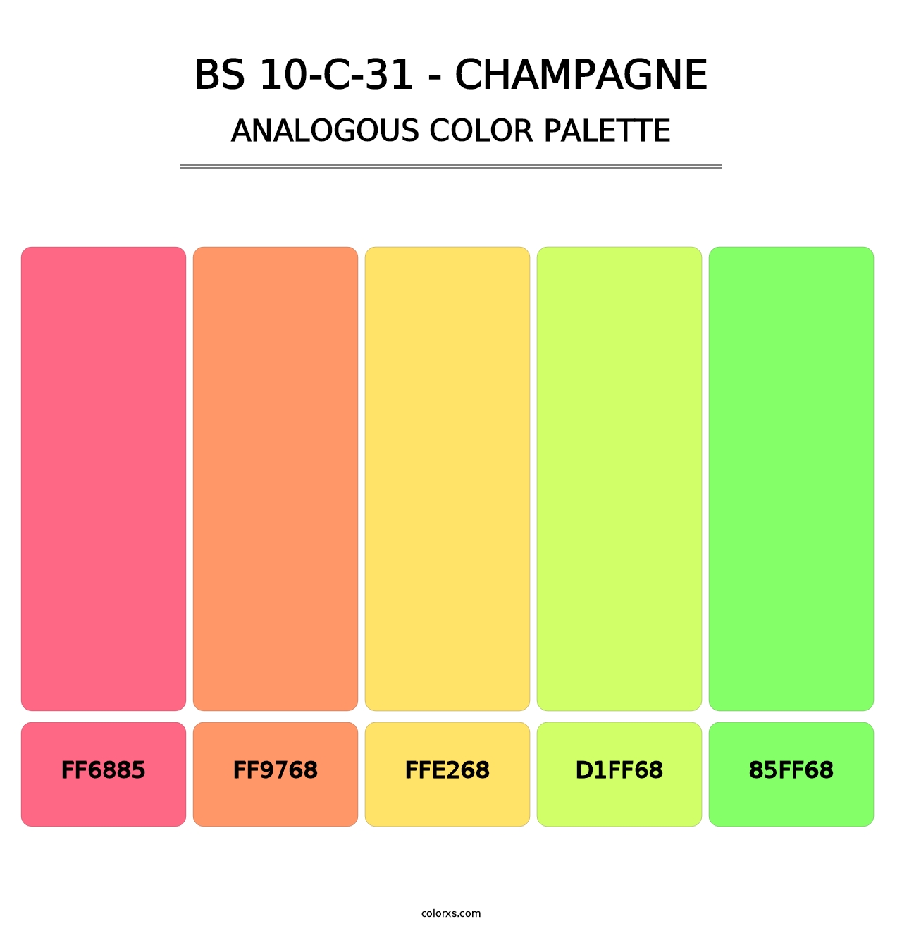 BS 10-C-31 - Champagne - Analogous Color Palette
