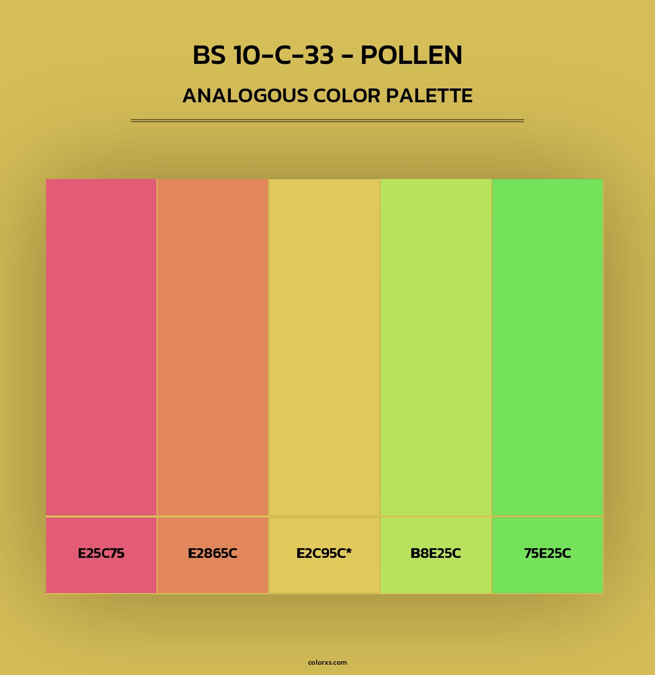 BS 10-C-33 - Pollen - Analogous Color Palette