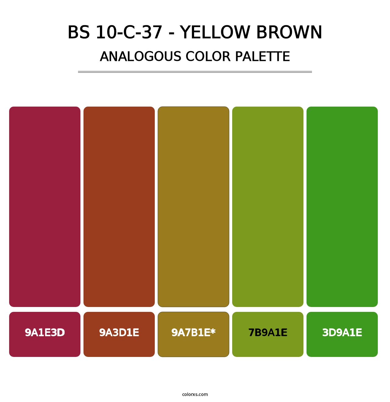 BS 10-C-37 - Yellow Brown - Analogous Color Palette