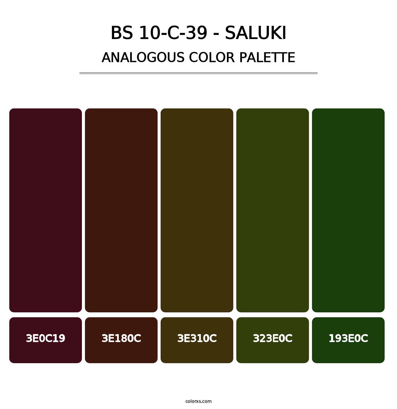 BS 10-C-39 - Saluki - Analogous Color Palette