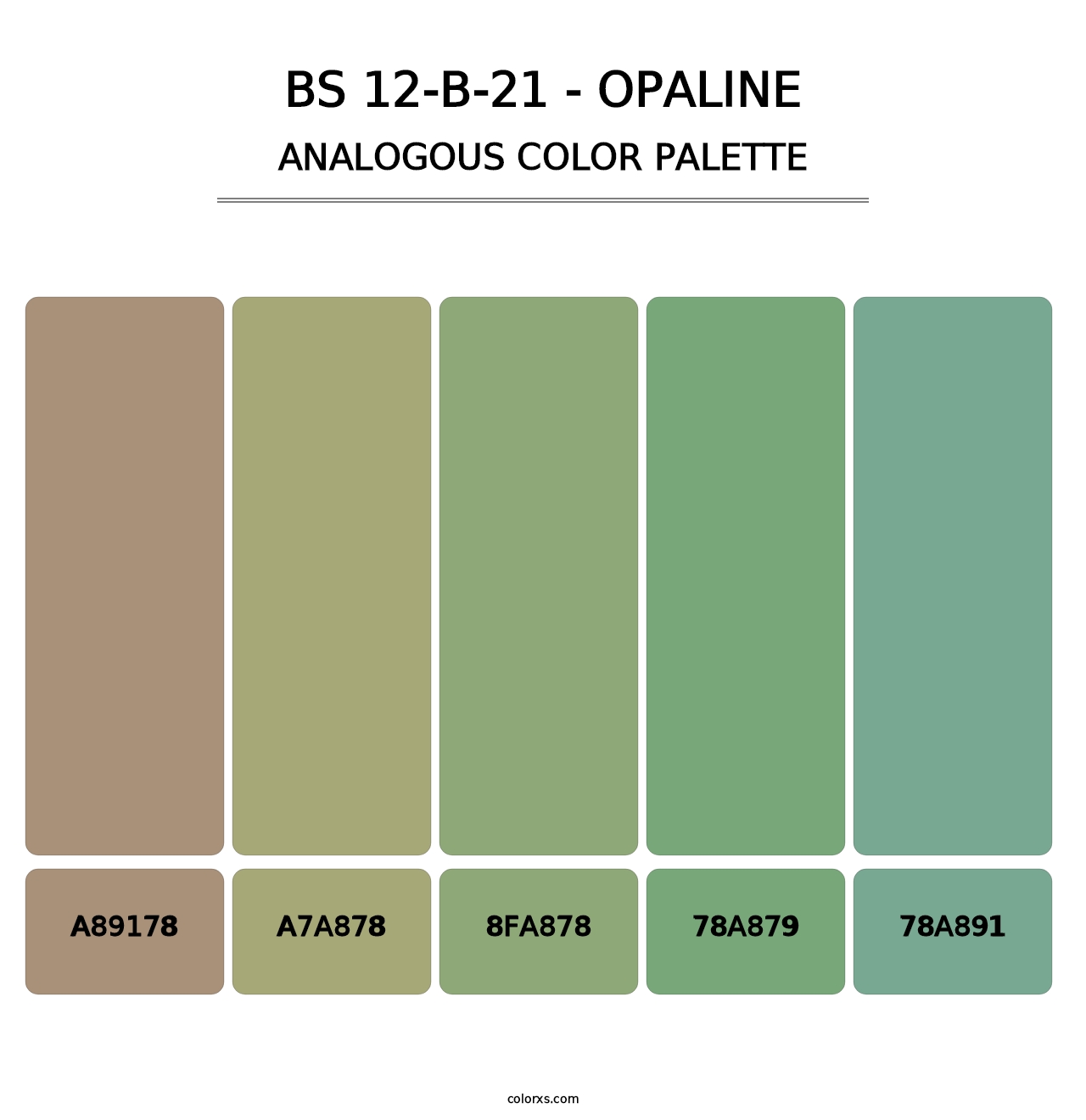 BS 12-B-21 - Opaline - Analogous Color Palette
