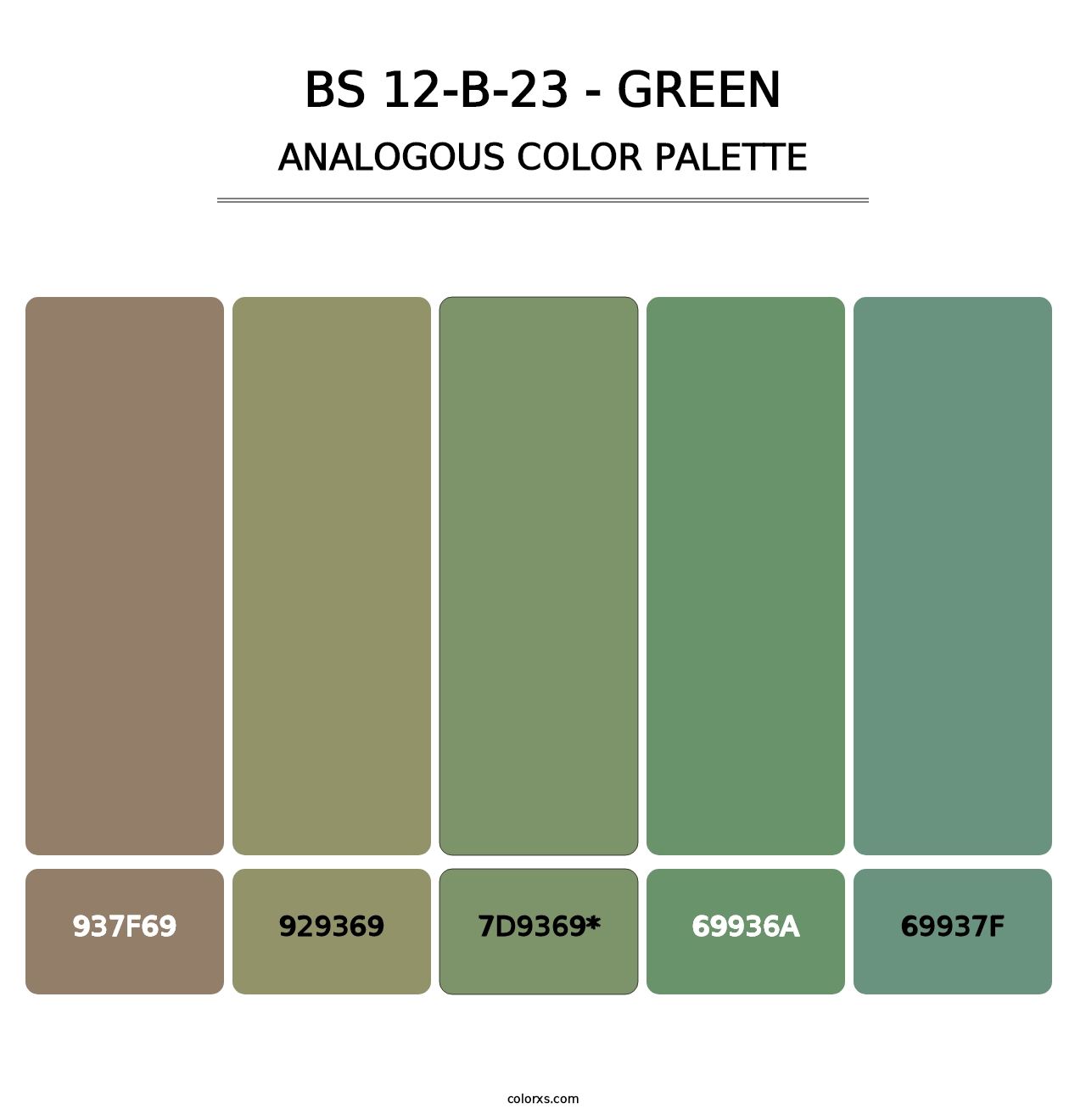 BS 12-B-23 - Green - Analogous Color Palette